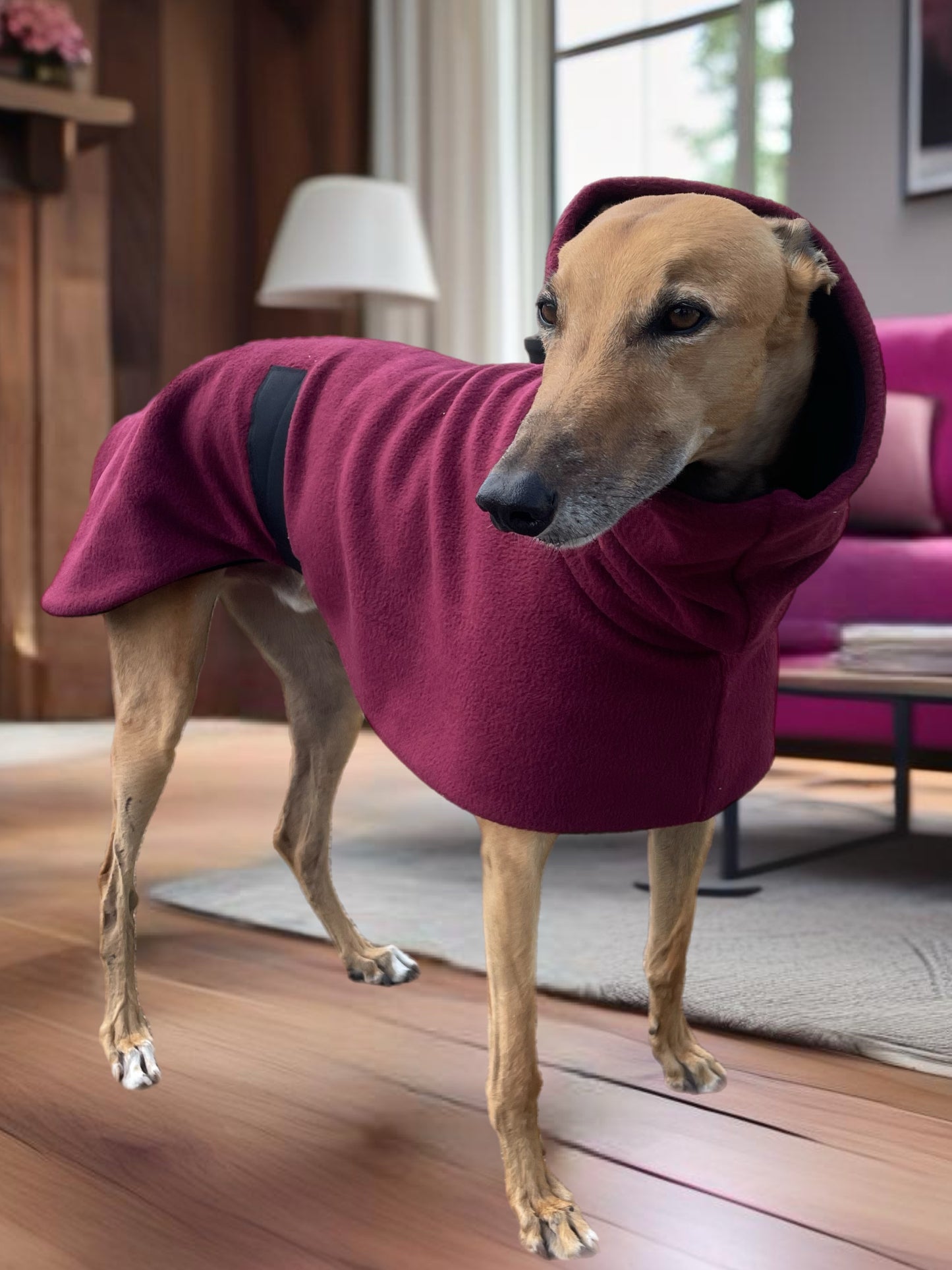 Burgundy Greyhound Deluxe Dog coat dog rug, thick double polar fleece black washable extra wide hoodie