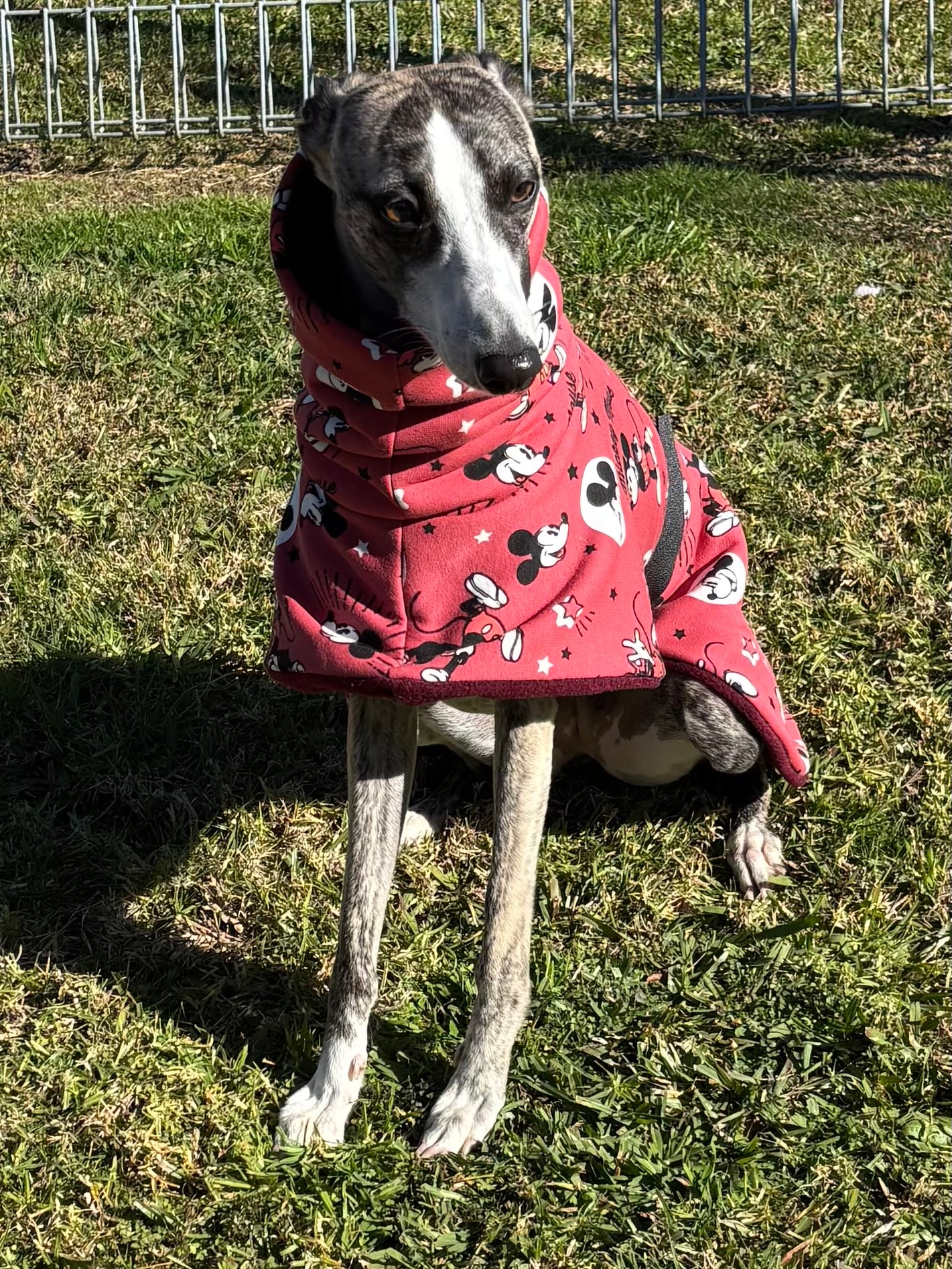 Whimsy Disney inspired whippet snuggly double fleece