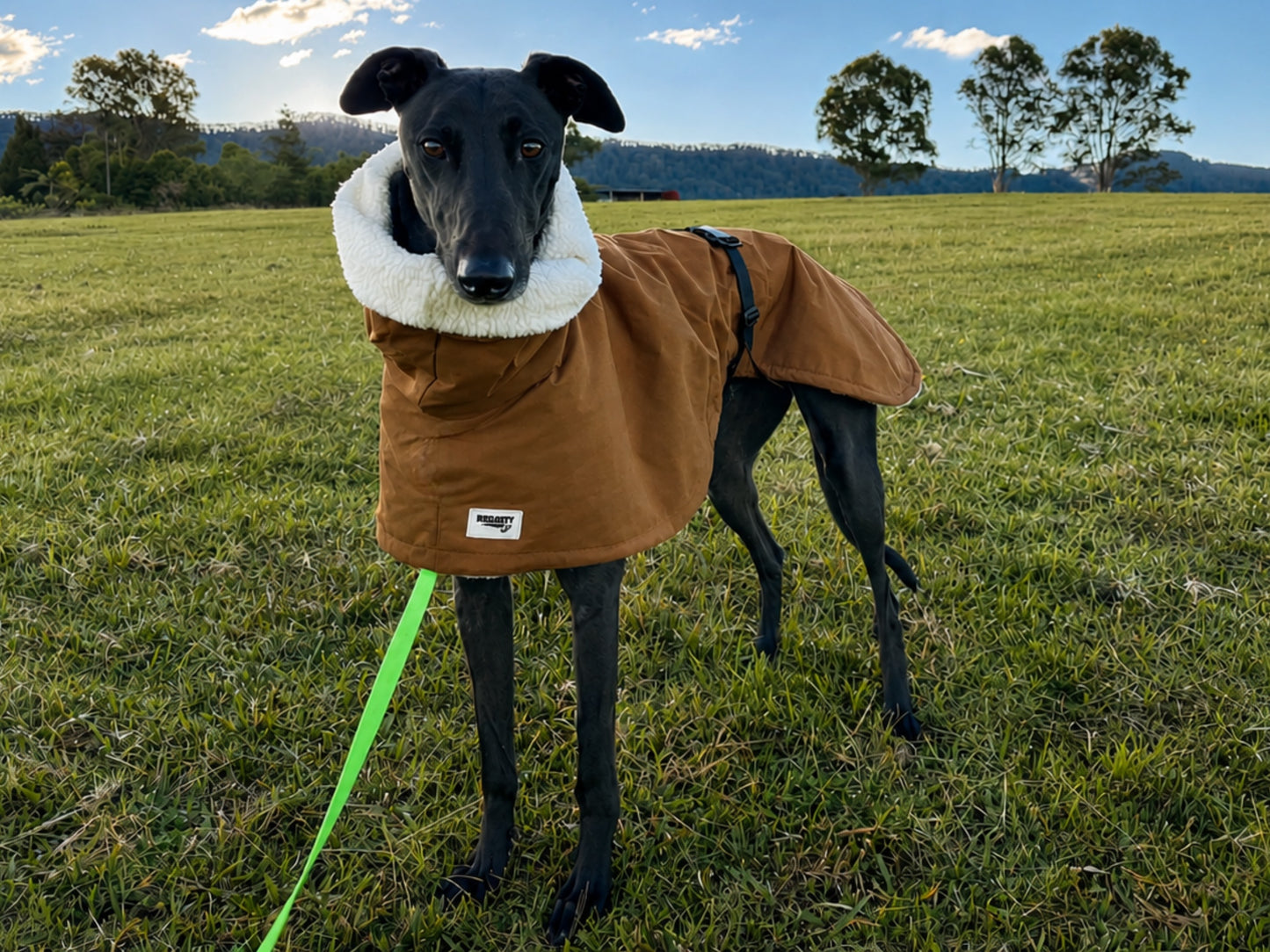 Driden Lux Sherpa Greyhound & whippet deluxe raincoats