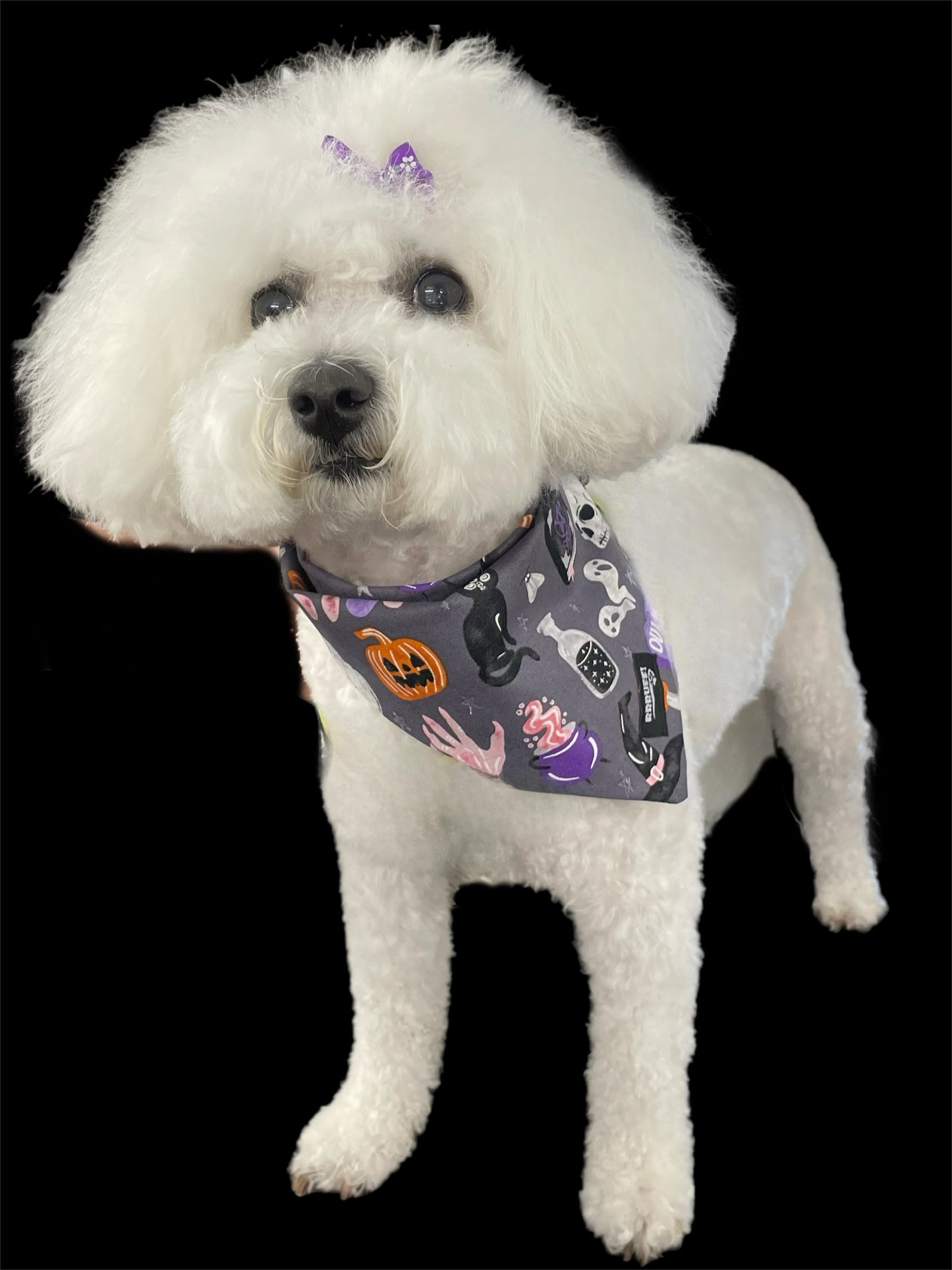 Halloween Bandana for the small dog cavoodle terrier dachshund reversible, cotton