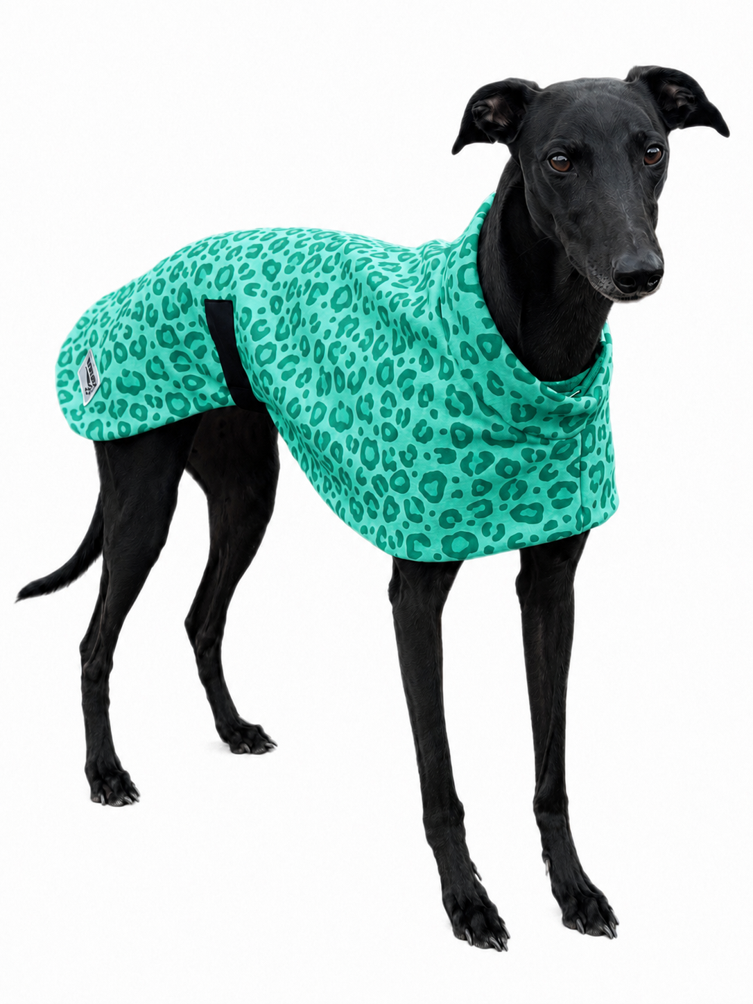 Mint leopard soft fleecy greyhound sport coat