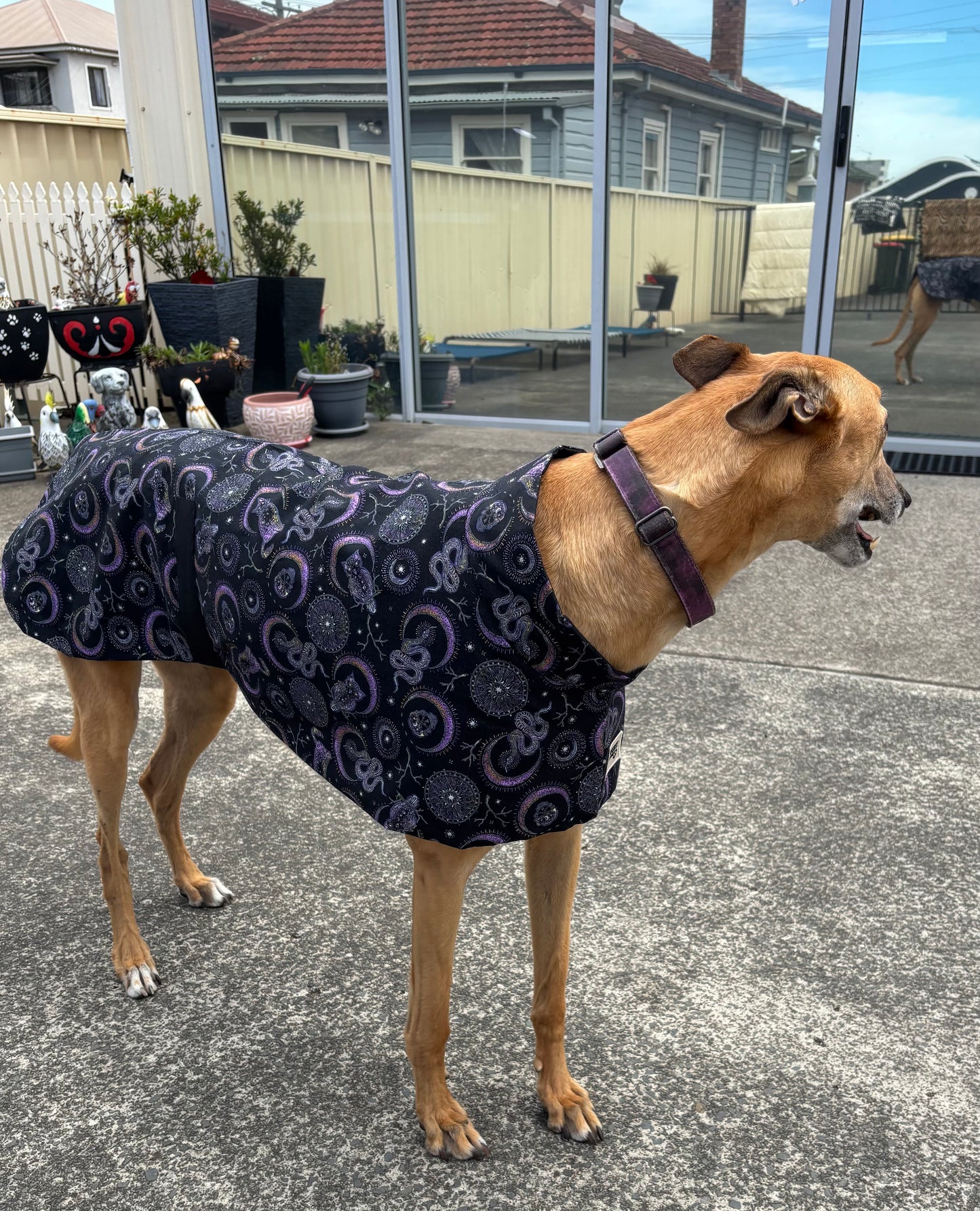 Summer featherweight greyhound slip-on coat