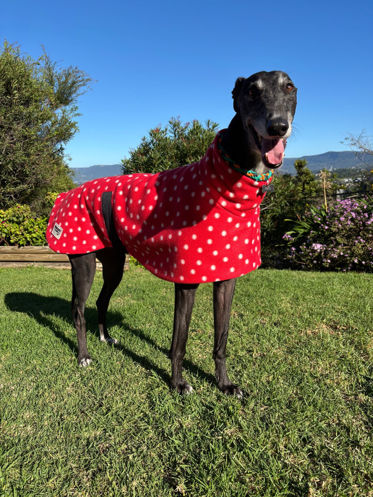 Red polka dots lighter weight fleece sports