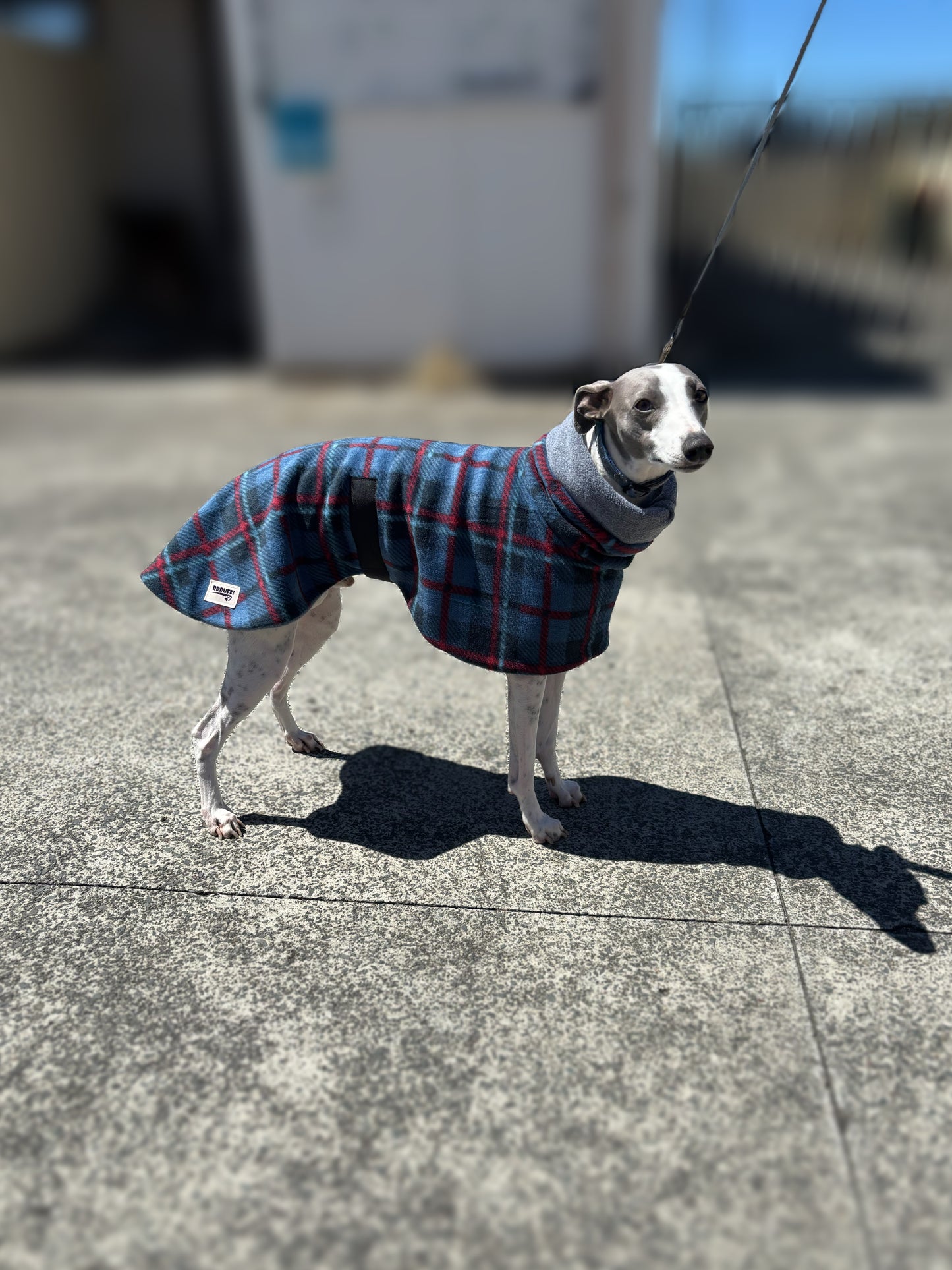 Deluxe whippet coats snuggly thick double fleece in blue with grey inner fleece
