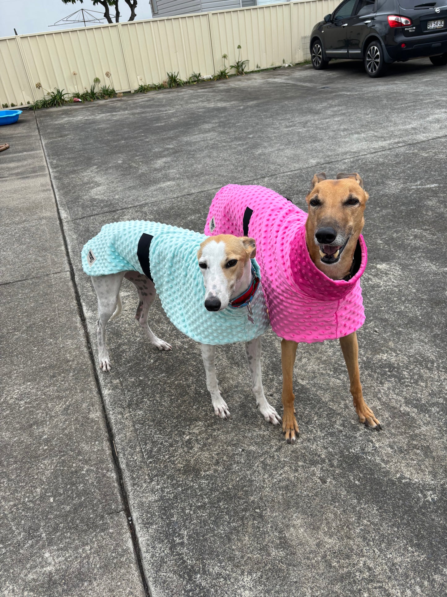 Velvet touch hot pink minky fleece sports
