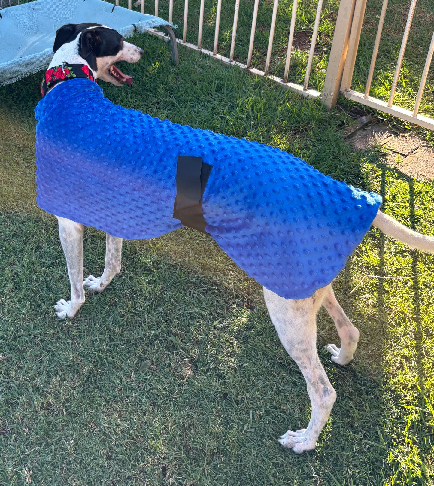 Velvet touch emerald blue minky fleece sports