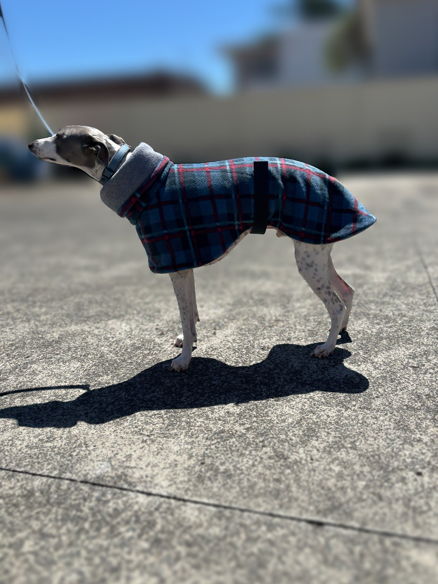 Deluxe whippet coats snuggly thick double fleece in blue with grey inner fleece