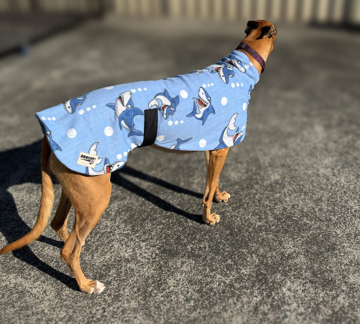 Sharks fleecy midweight snuggly fleece sports