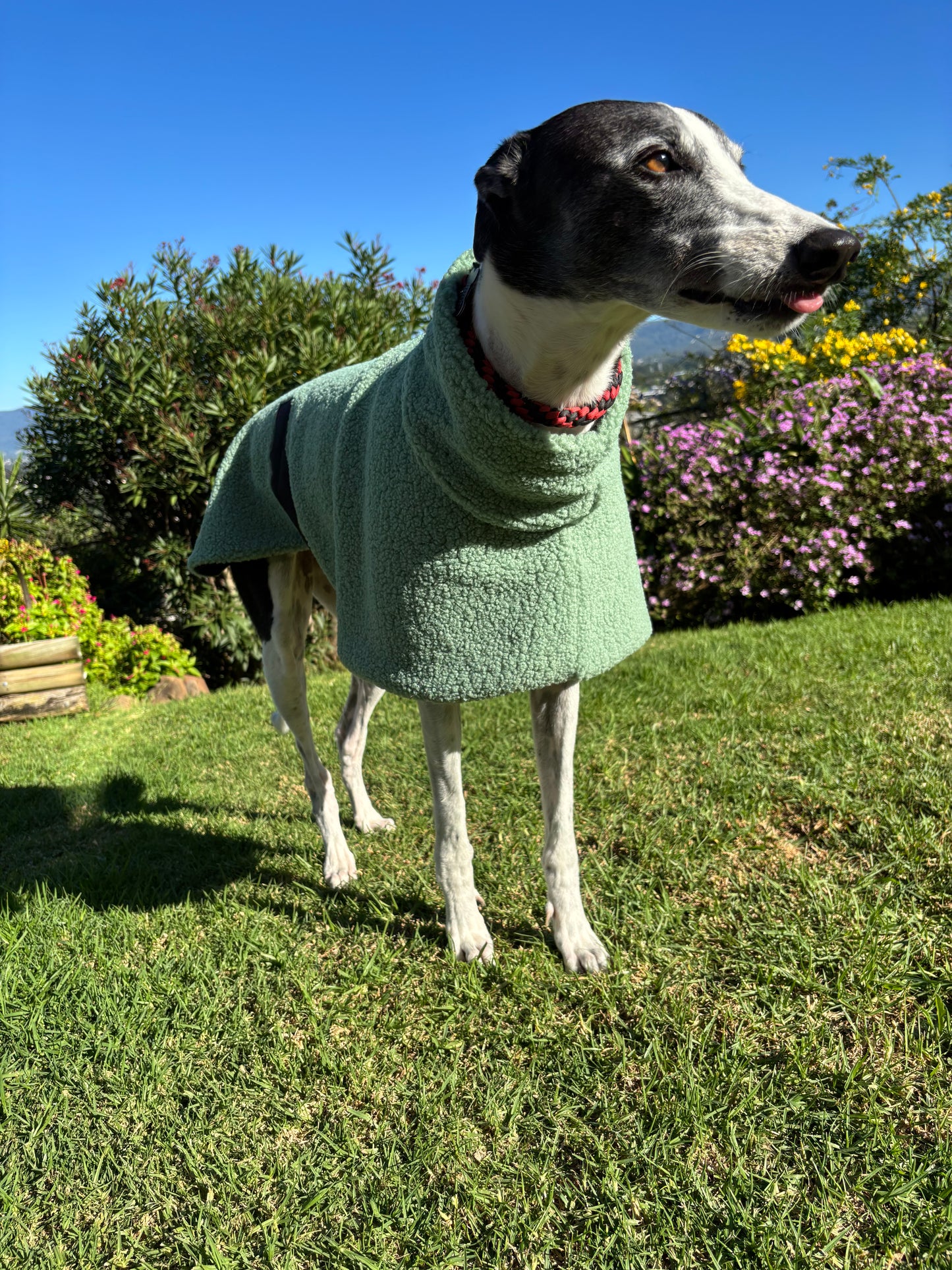 Sage snuggly midweight teddy fleece sports