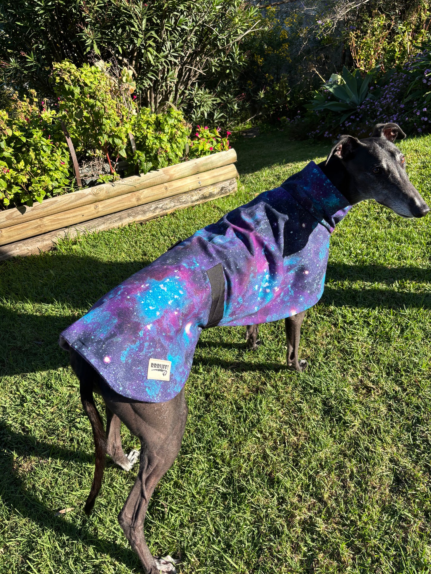 Galaxy print cotton & fleece greyhound sports