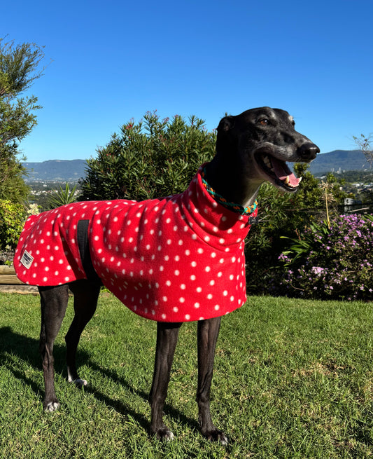 Red polka dots lighter weight fleece sports