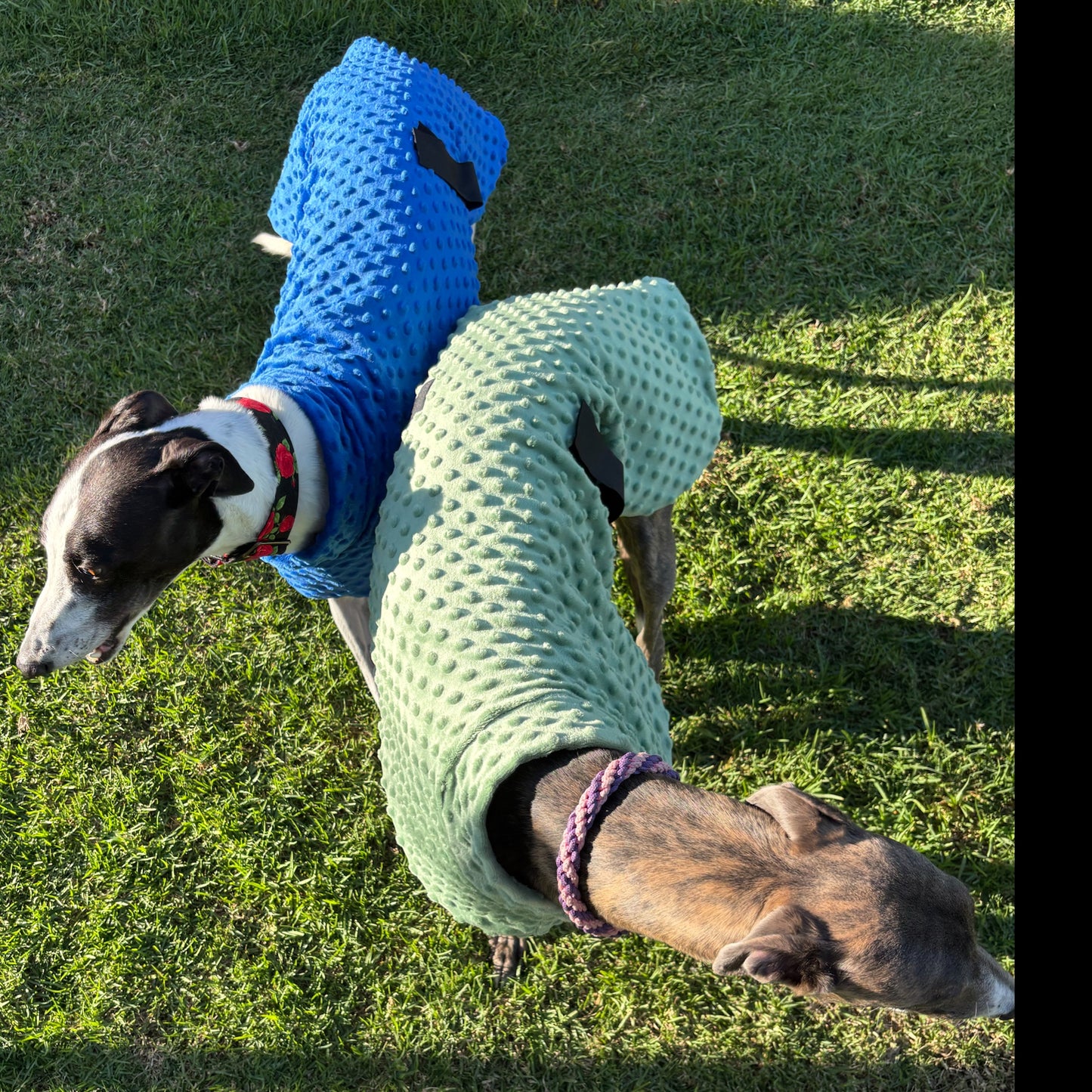 Velvet touch sage green minky fleece sports