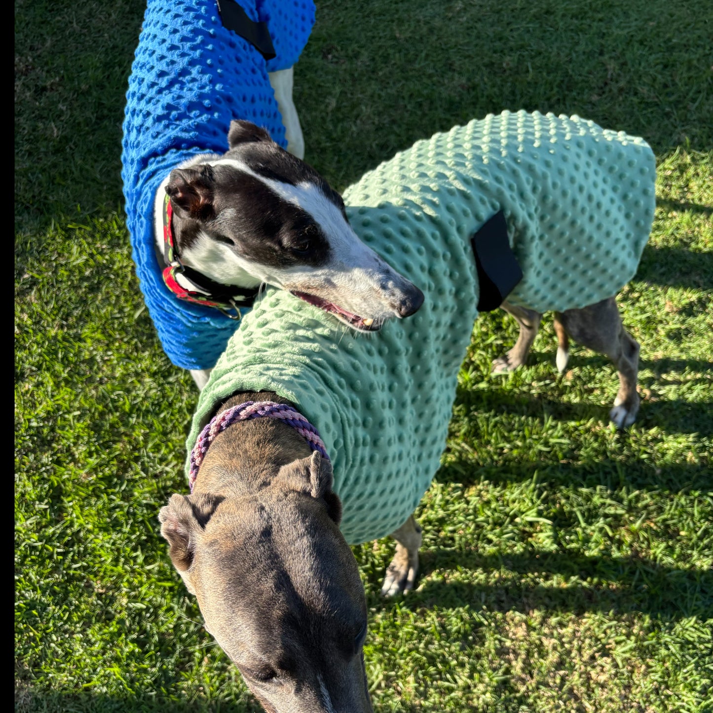 Velvet touch sage green minky fleece sports