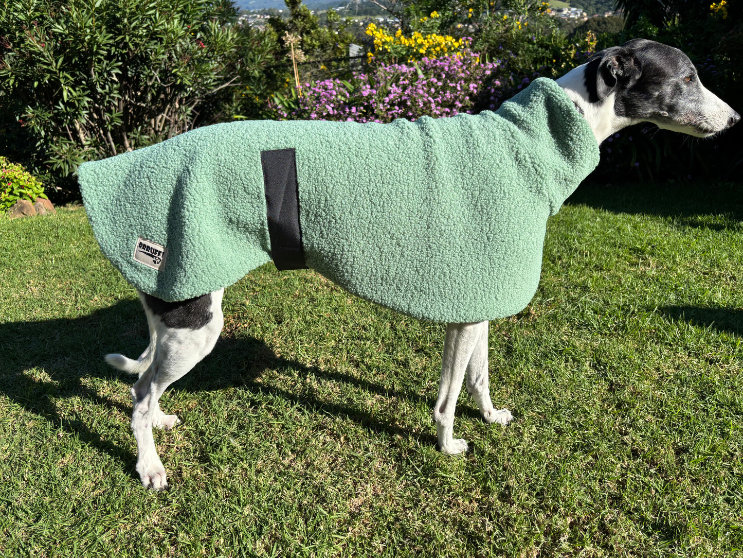 Sage snuggly midweight teddy fleece sports