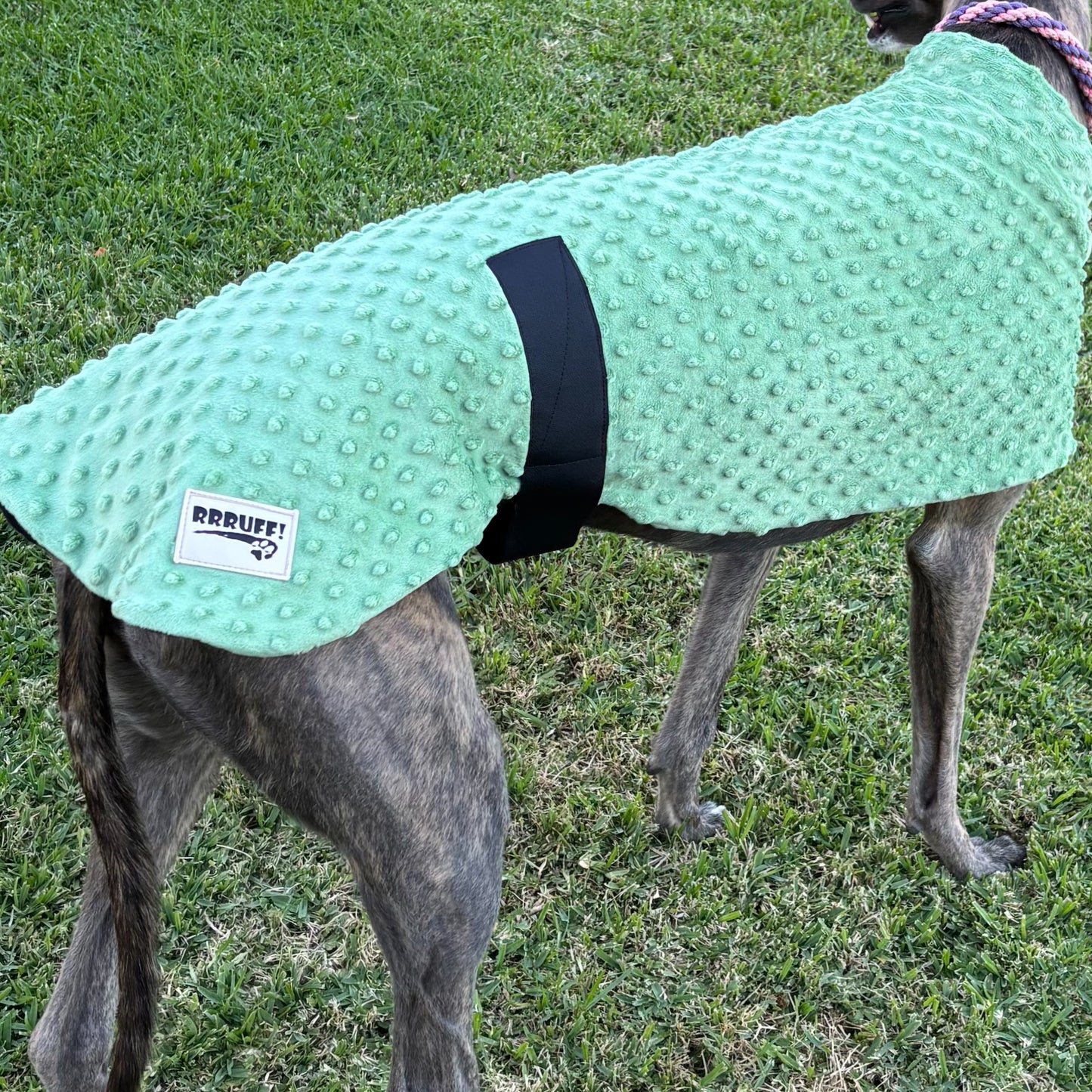 Velvet touch sage green minky fleece sports