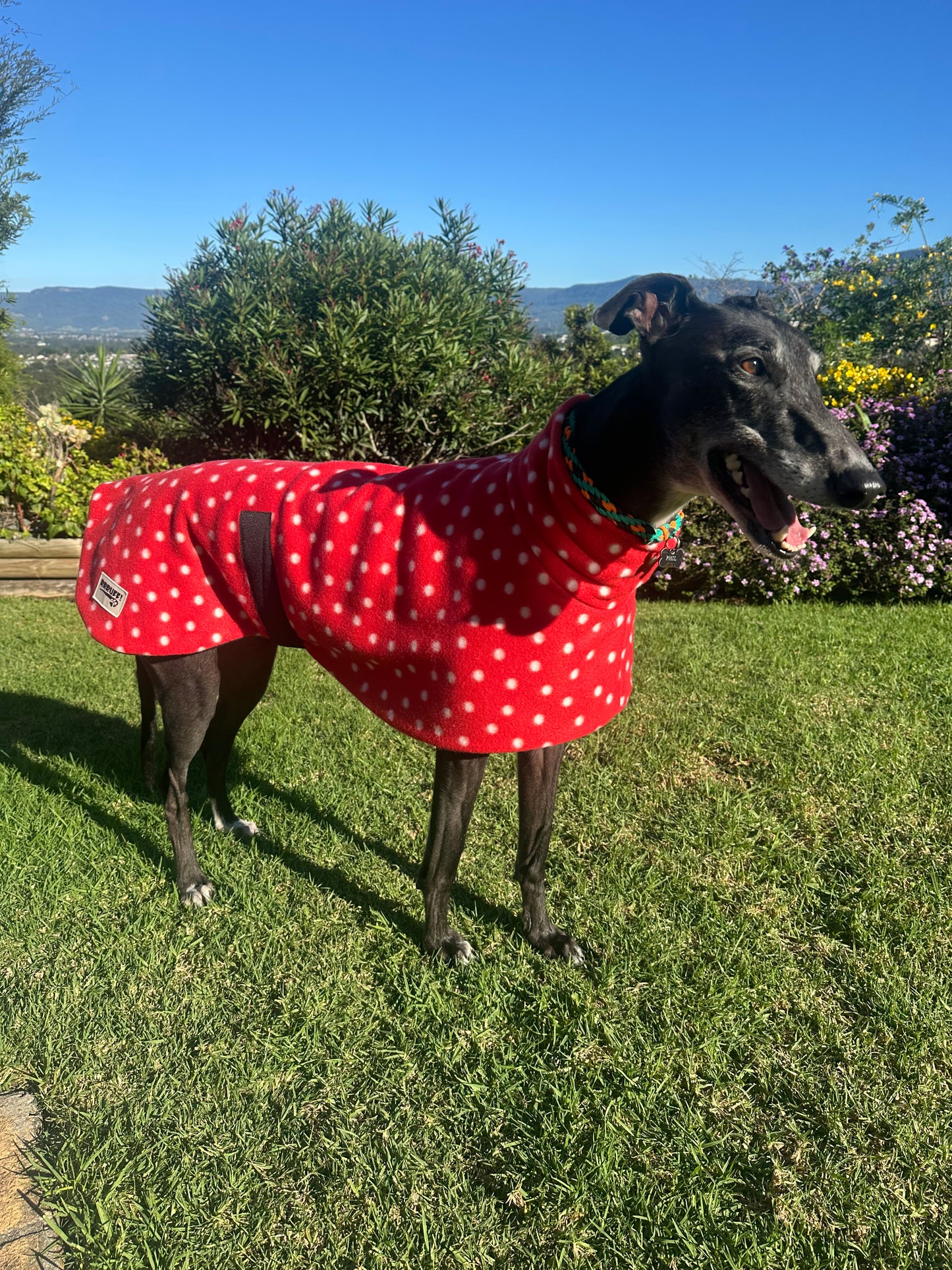 Red polka dots lighter weight fleece sports