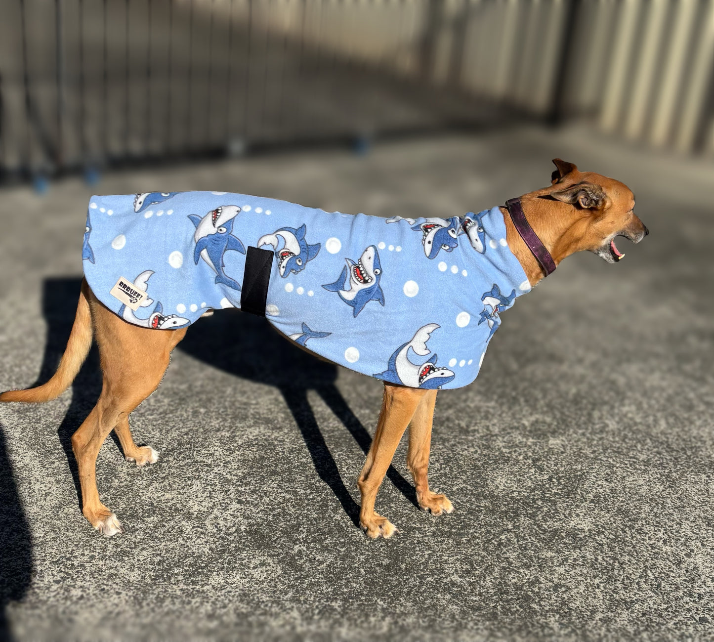 Sharks fleecy midweight snuggly fleece sports
