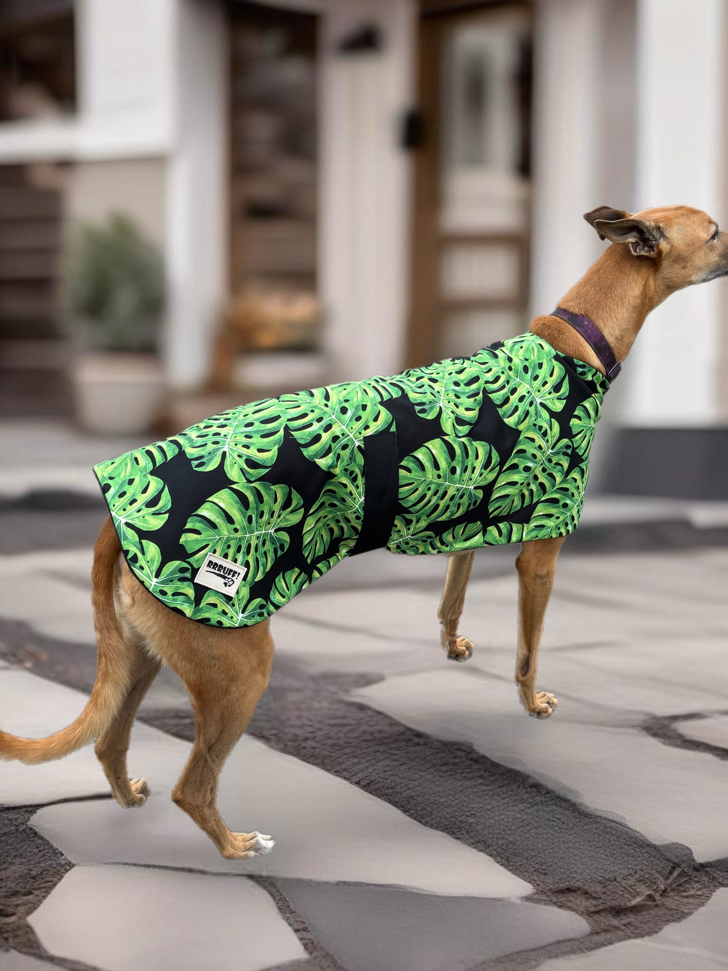 Autumn/Spring range classic style Greyhound vivid tropic design in lightweight cotton & fleece washable
