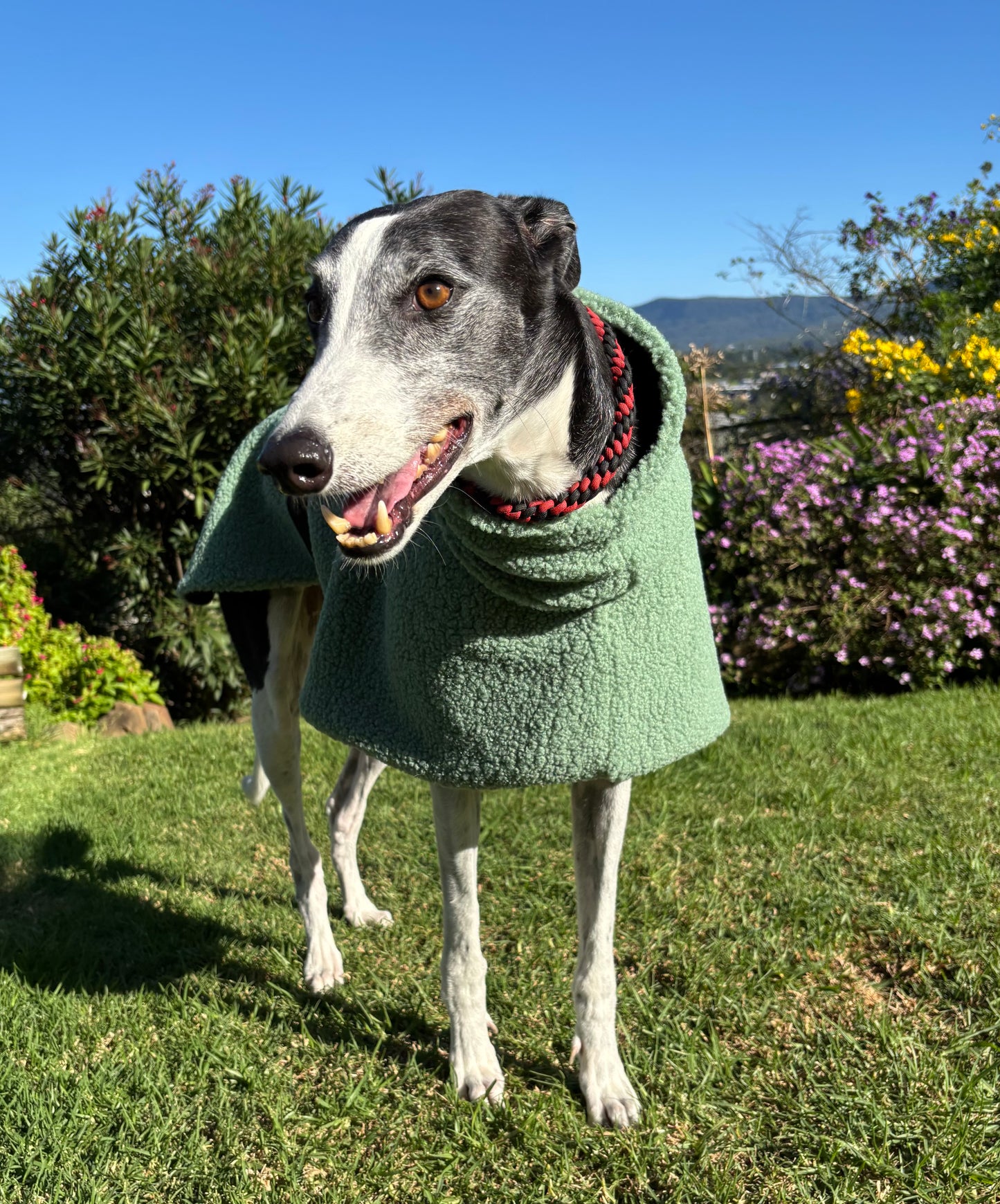 Sage snuggly midweight teddy fleece sports