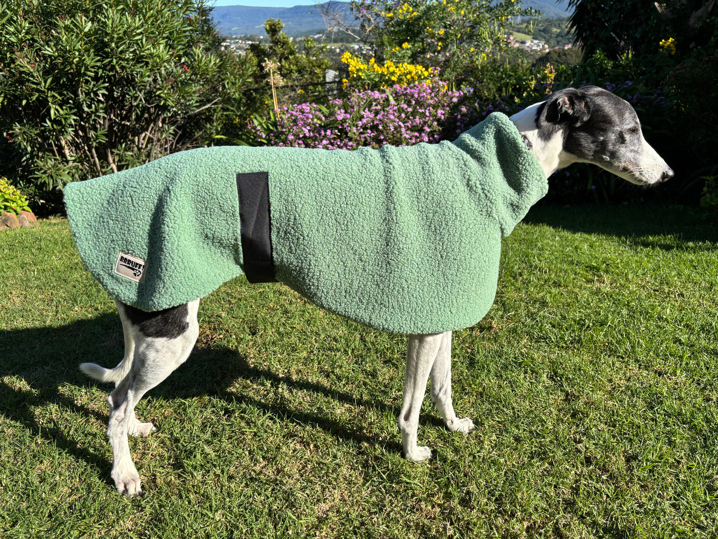 Sage snuggly midweight teddy fleece sports