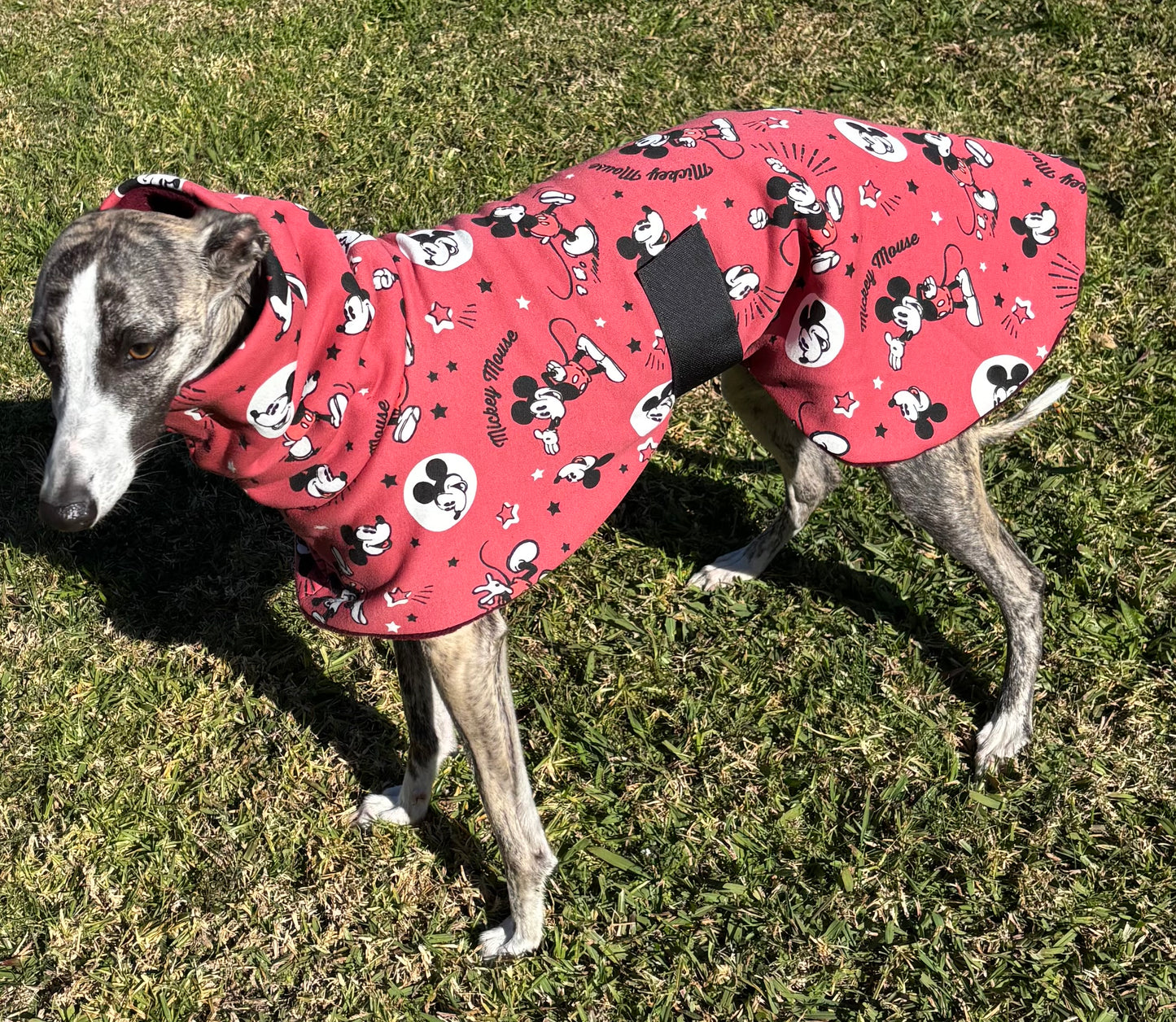 Whimsy Disney inspired whippet snuggly double fleece