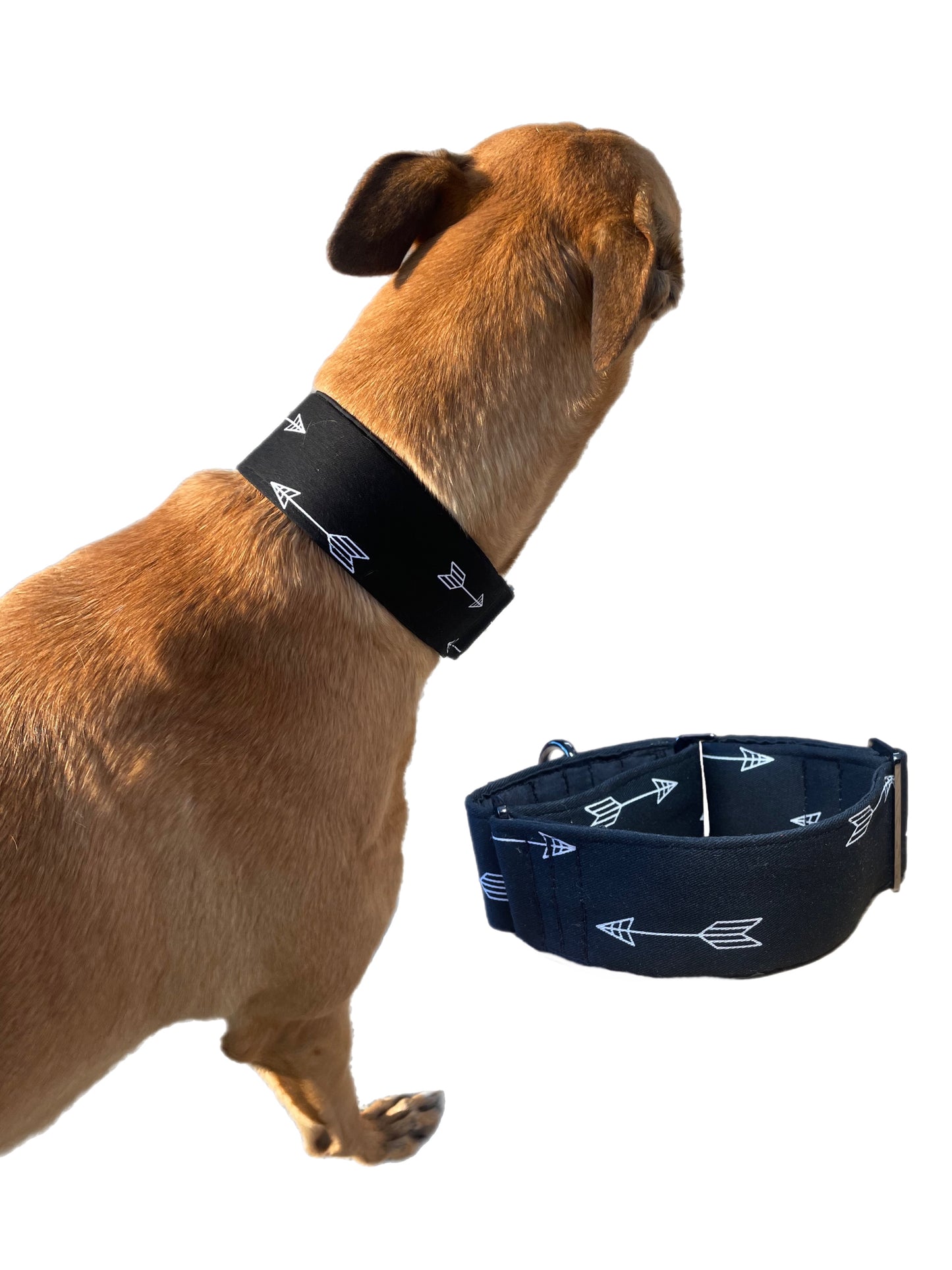 Black with arrows cotton covered greyhound Martingale collar 50mm width