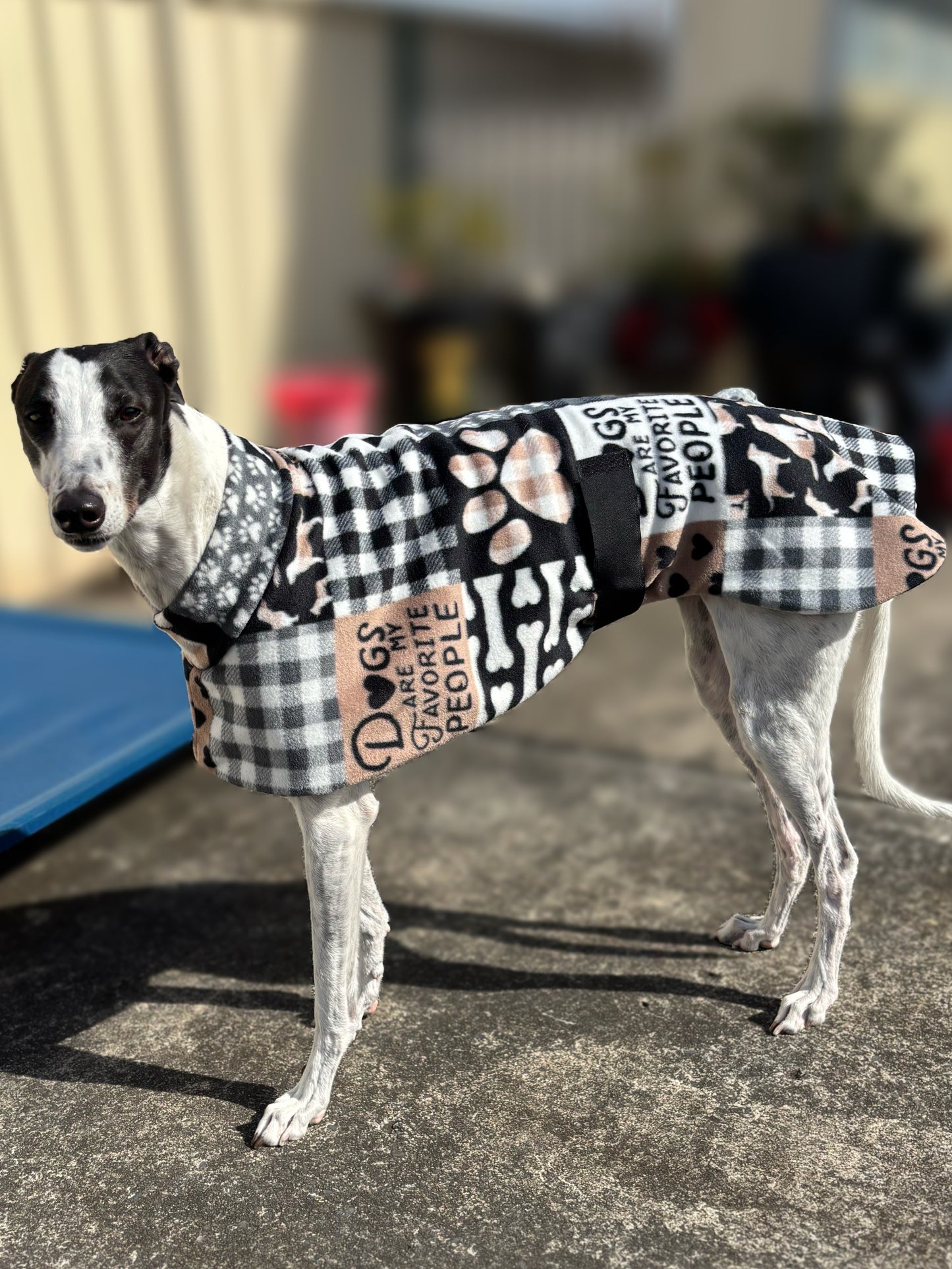 Dogs are my favorite people Soft fleecy greyhound sports coat