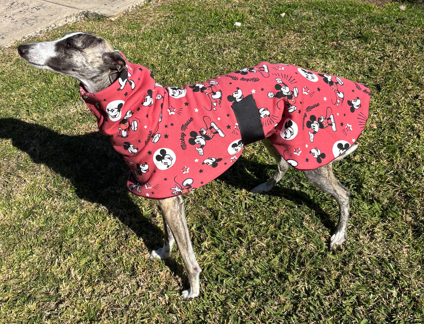 Whimsy Disney inspired whippet snuggly double fleece