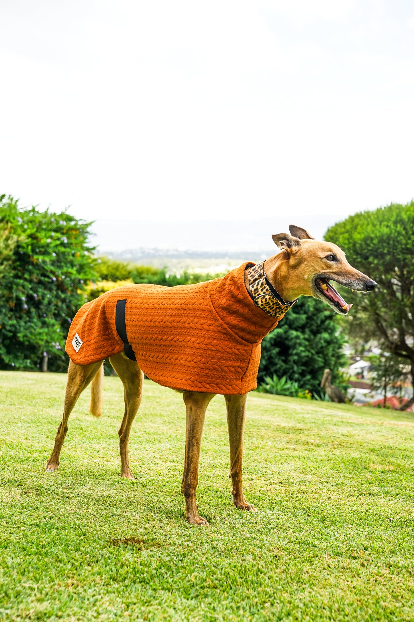 Our thicker cable knit sports