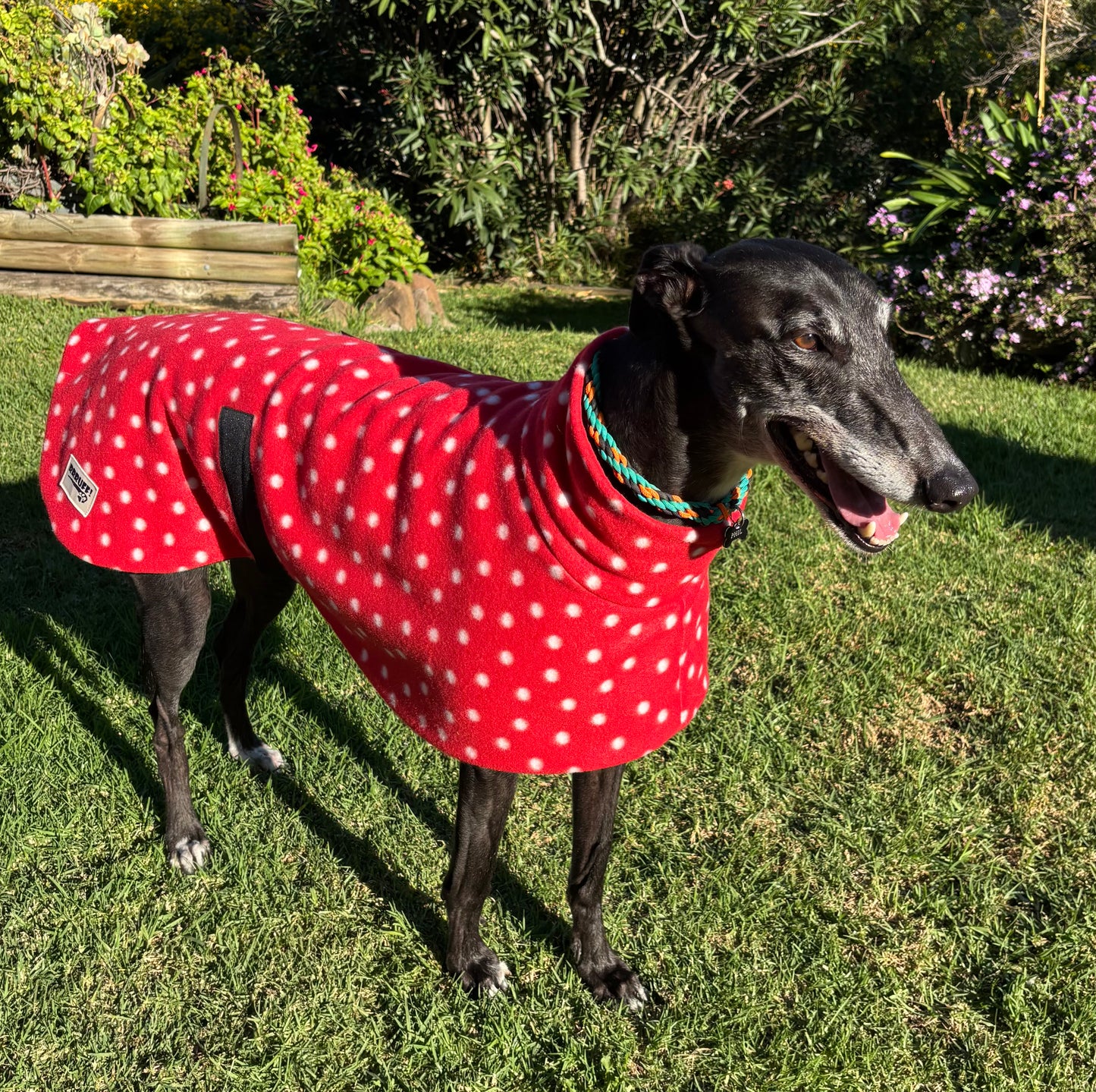 Red polka dots lighter weight fleece sports