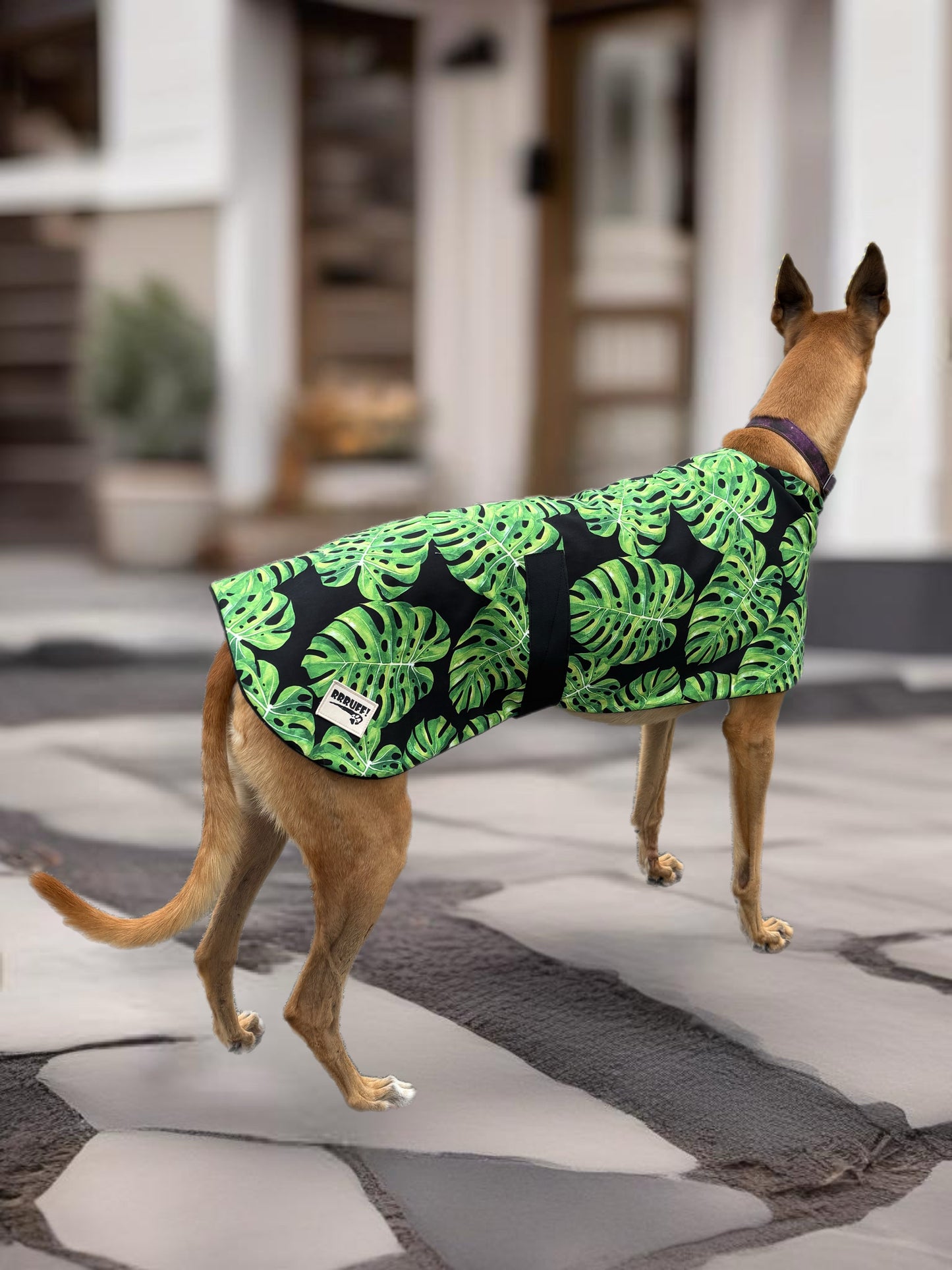 Autumn/Spring range classic style Greyhound vivid tropic design in lightweight cotton & fleece washable