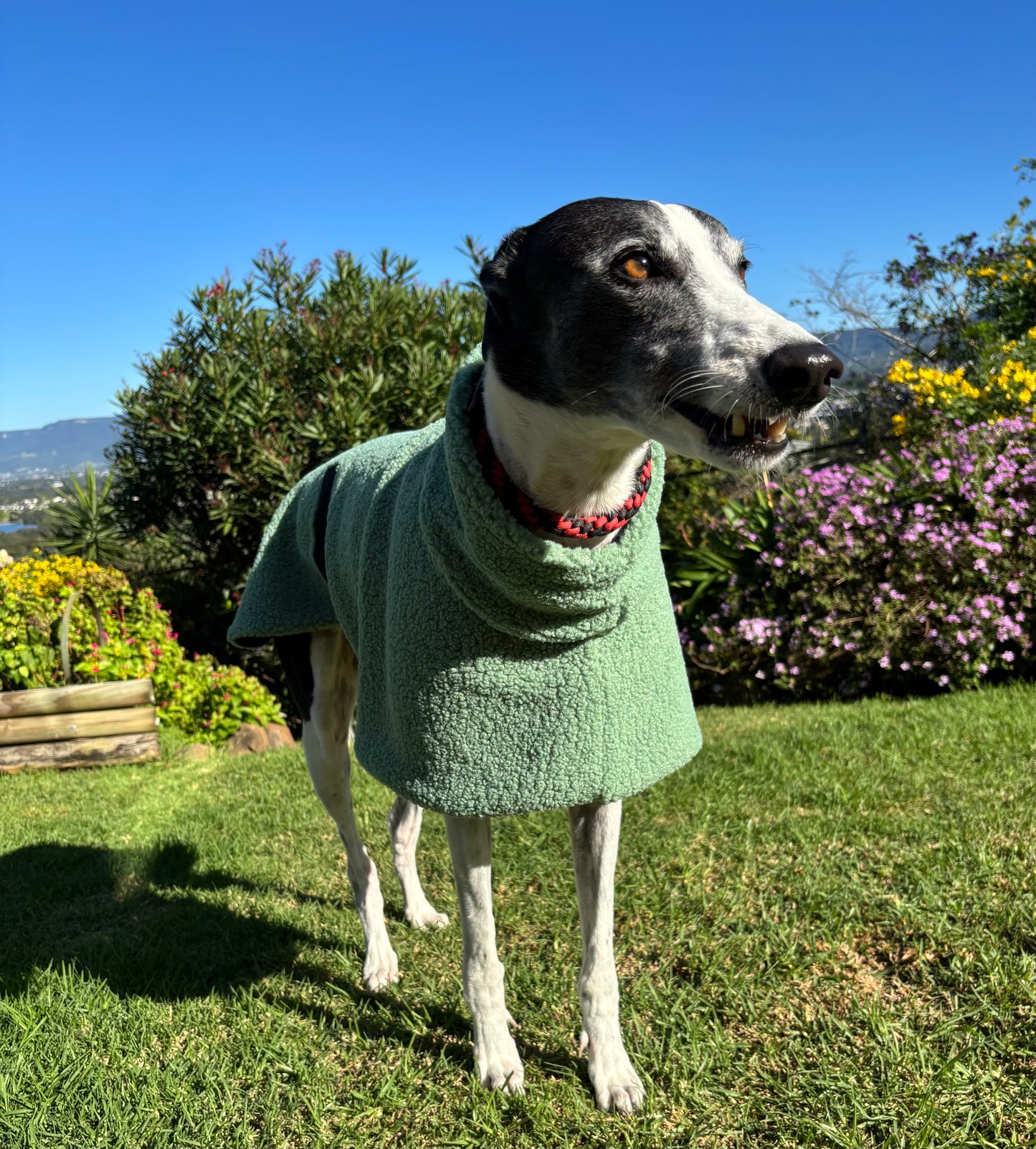 Sage snuggly midweight teddy fleece sports