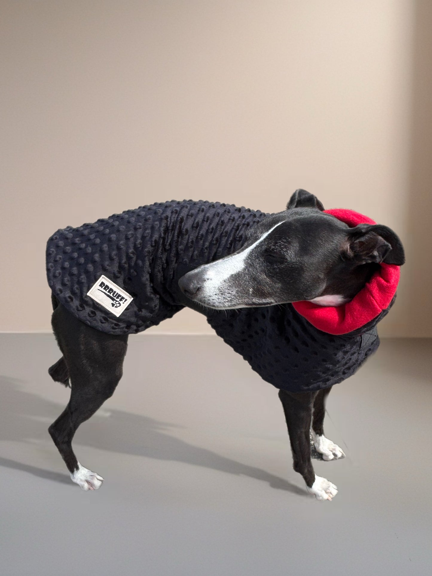 Whippet coat & snood ensemble in super soft minky fleece
