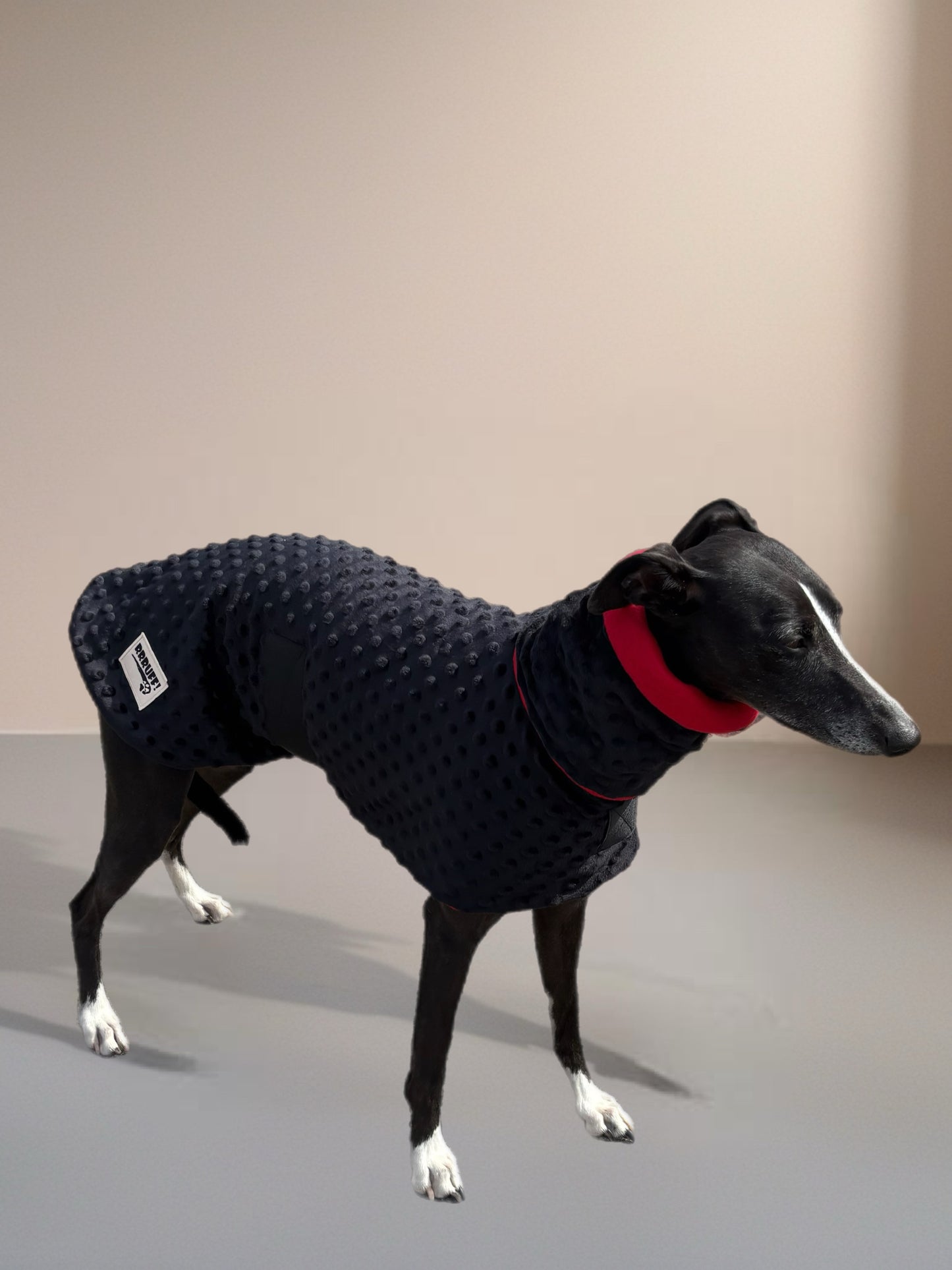 Whippet coat & snood ensemble in super soft minky fleece