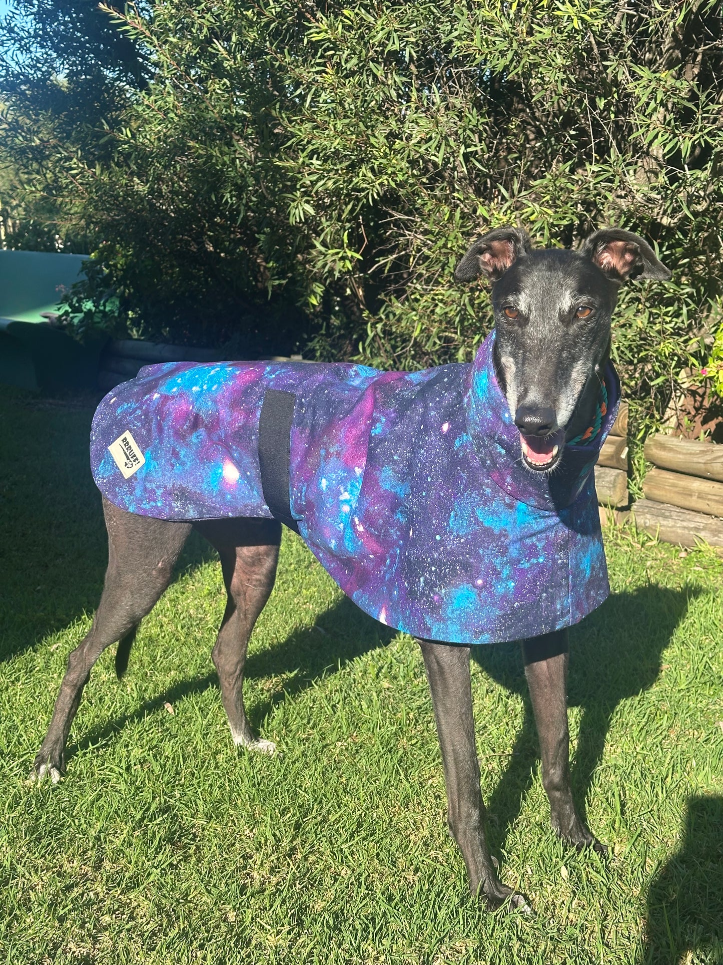 Galaxy print cotton & fleece greyhound sports