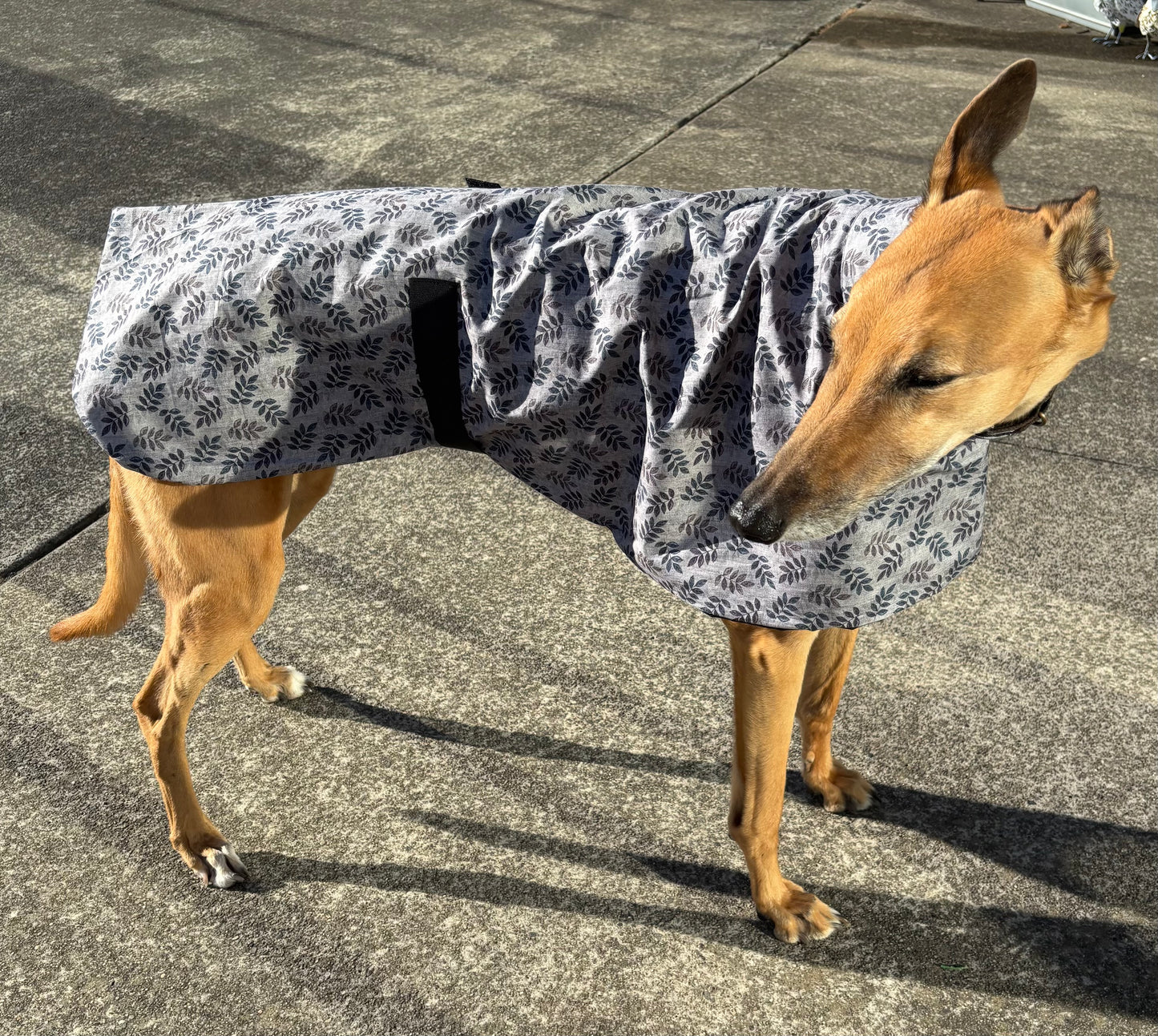 Summer sun coat featherweight greyhound slip-on coat
