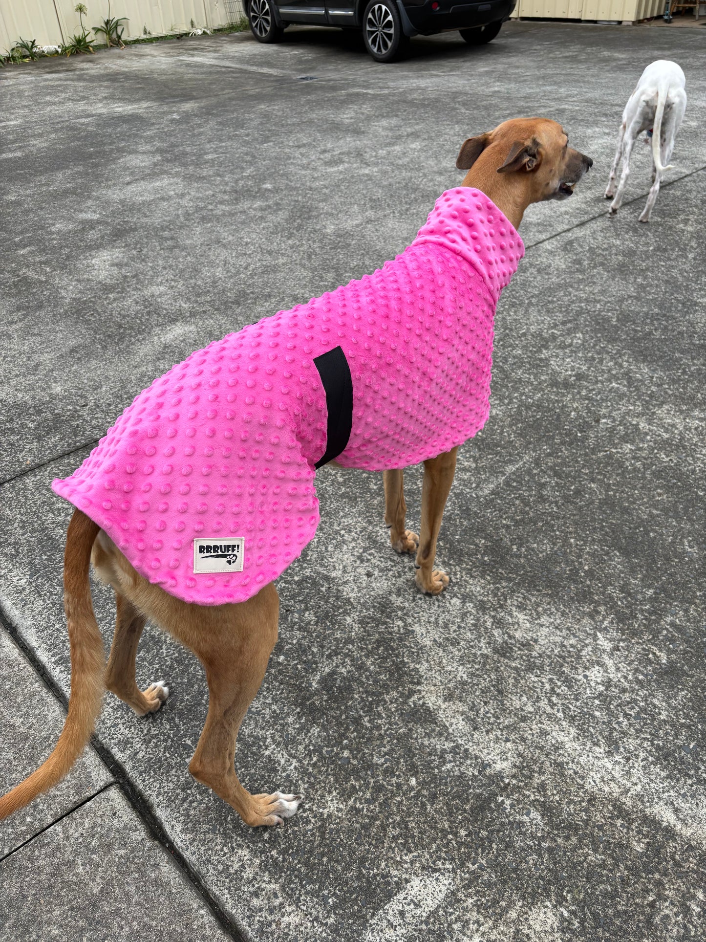 Velvet touch hot pink minky fleece sports
