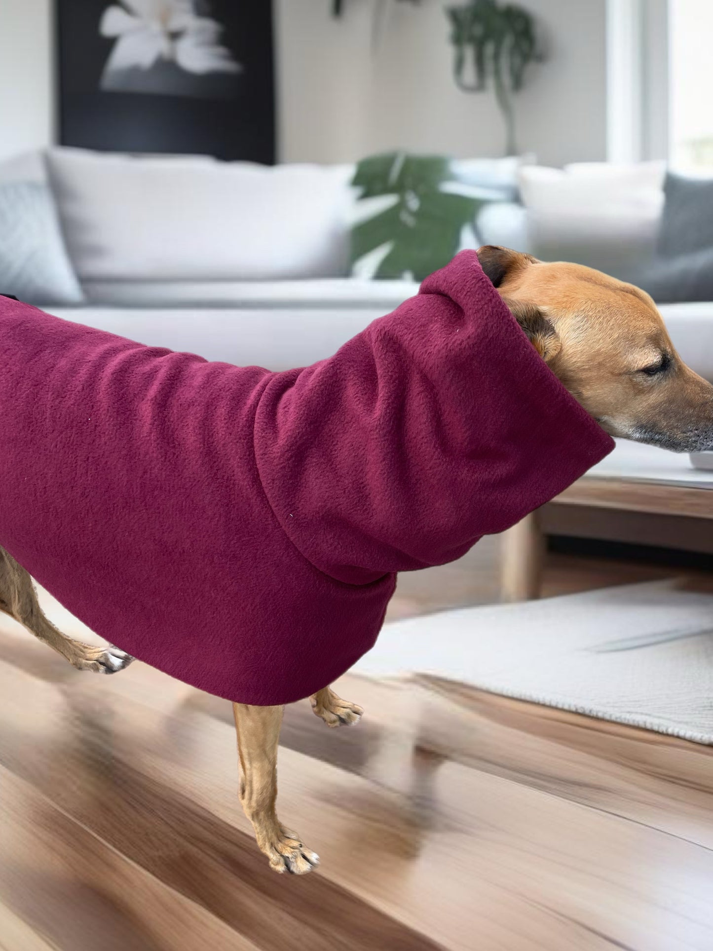 Burgundy Greyhound Deluxe Dog coat dog rug, thick double polar fleece black washable extra wide hoodie