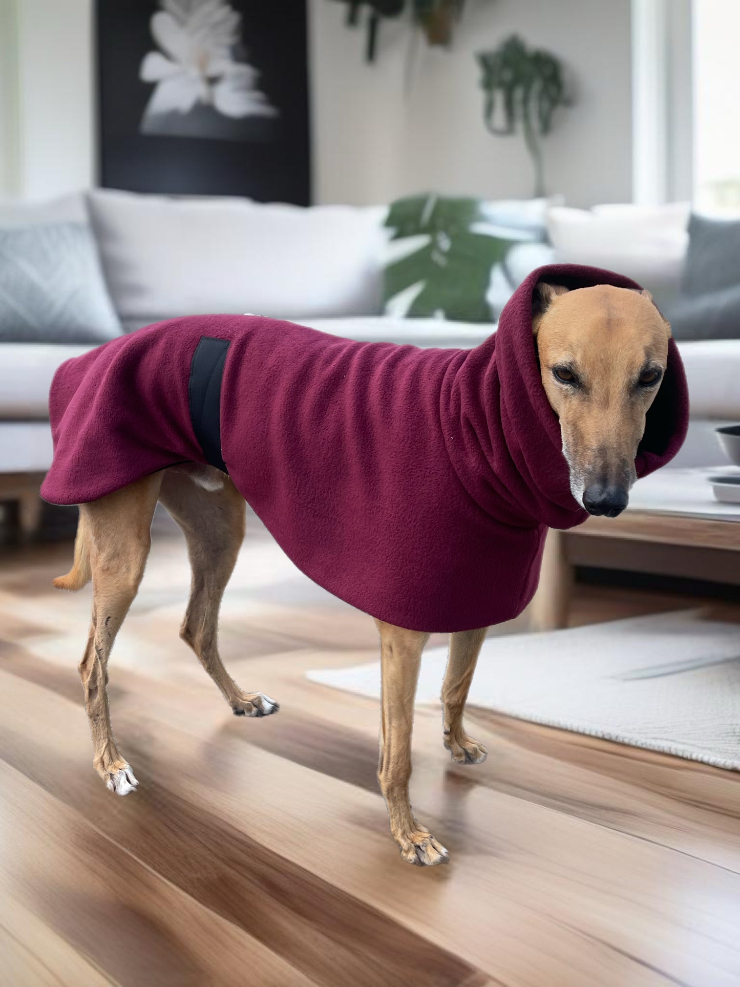 Burgundy Greyhound Deluxe Dog coat dog rug, thick double polar fleece black washable extra wide hoodie