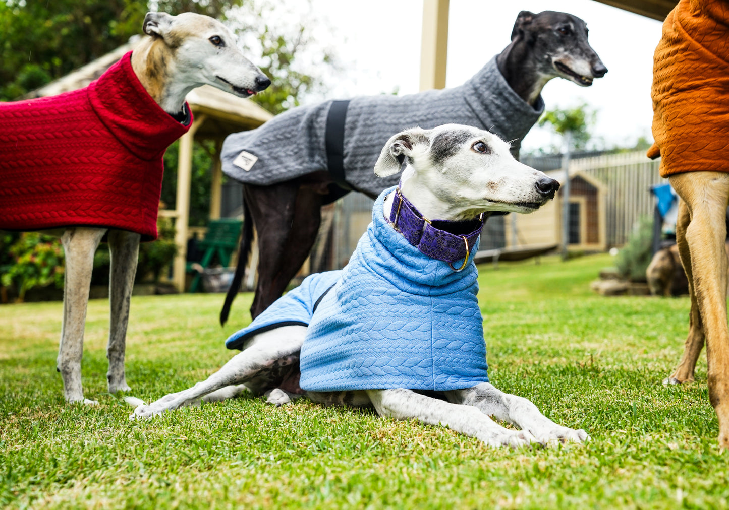 Our thicker cable knit sports