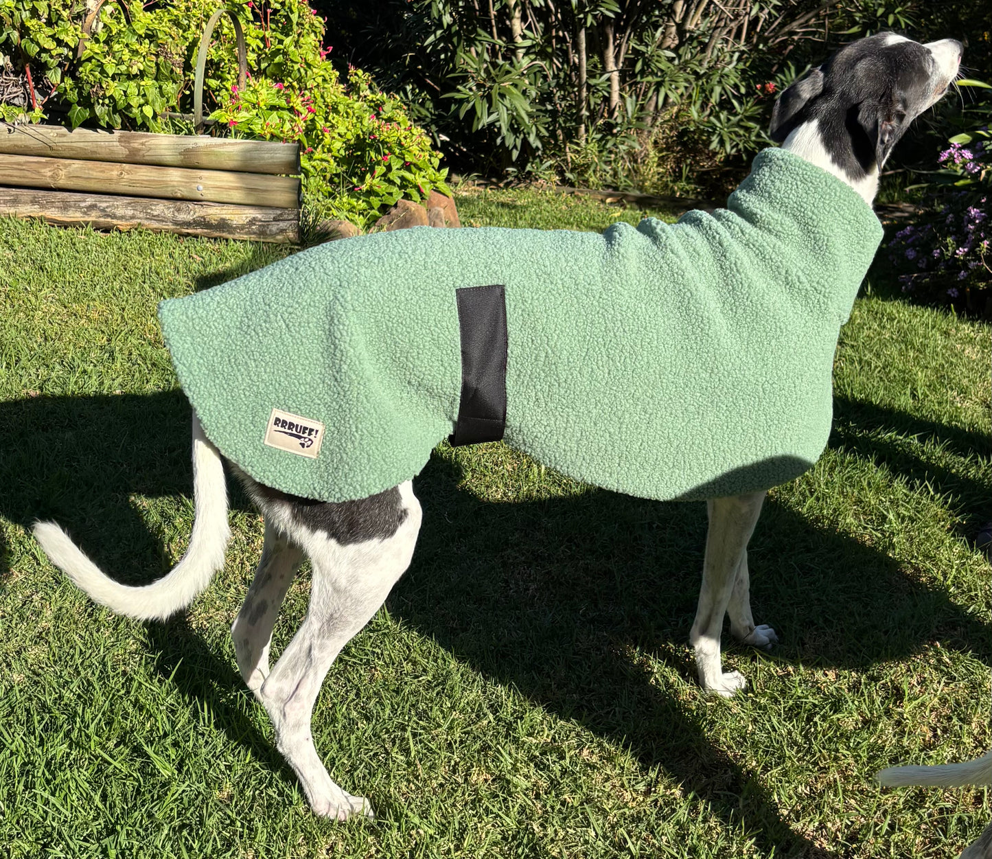 Sage snuggly midweight teddy fleece sports