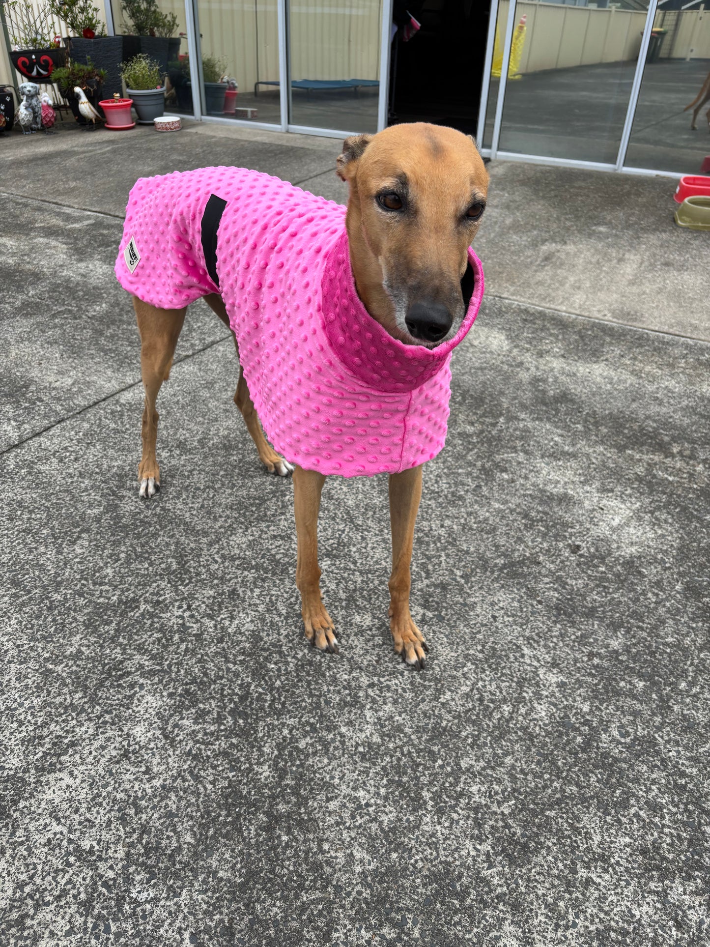 Velvet touch hot pink minky fleece sports
