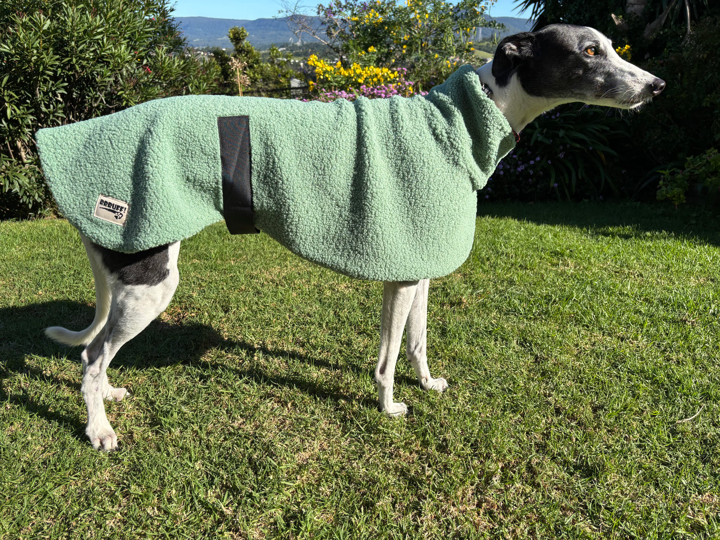 Sage snuggly midweight teddy fleece sports