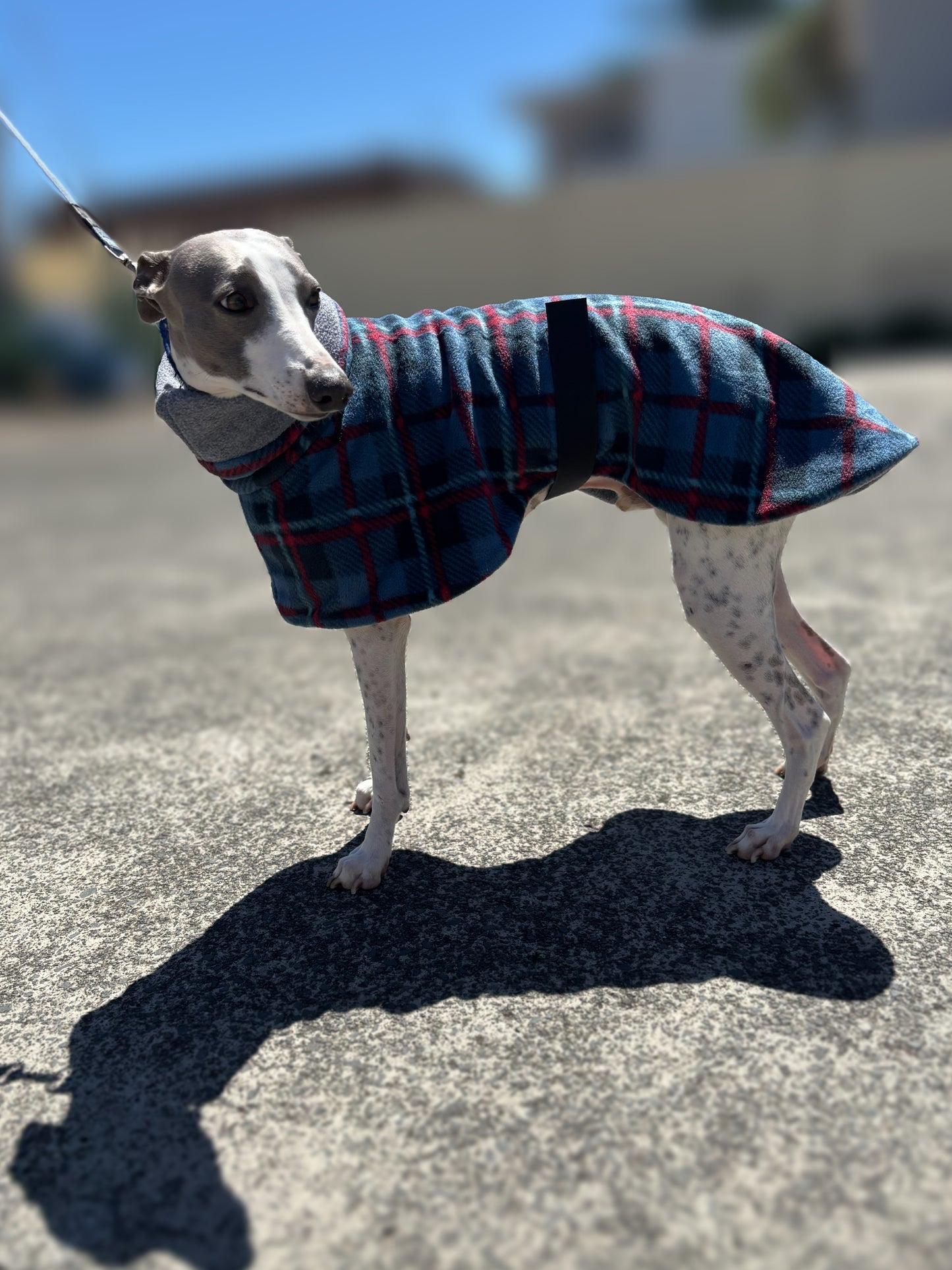 Deluxe whippet coats snuggly thick double fleece in blue with grey inner fleece