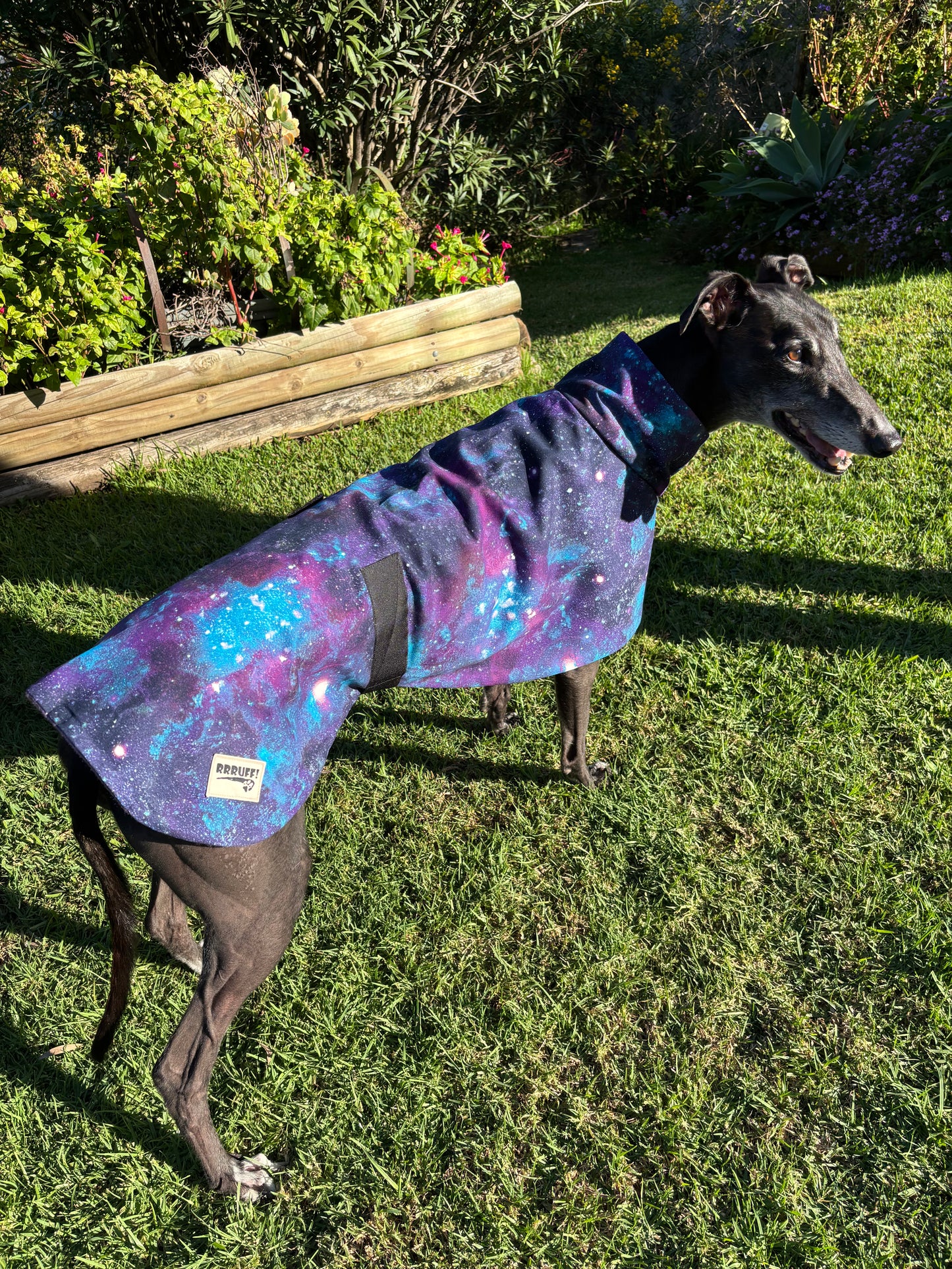 Galaxy print cotton & fleece greyhound sports