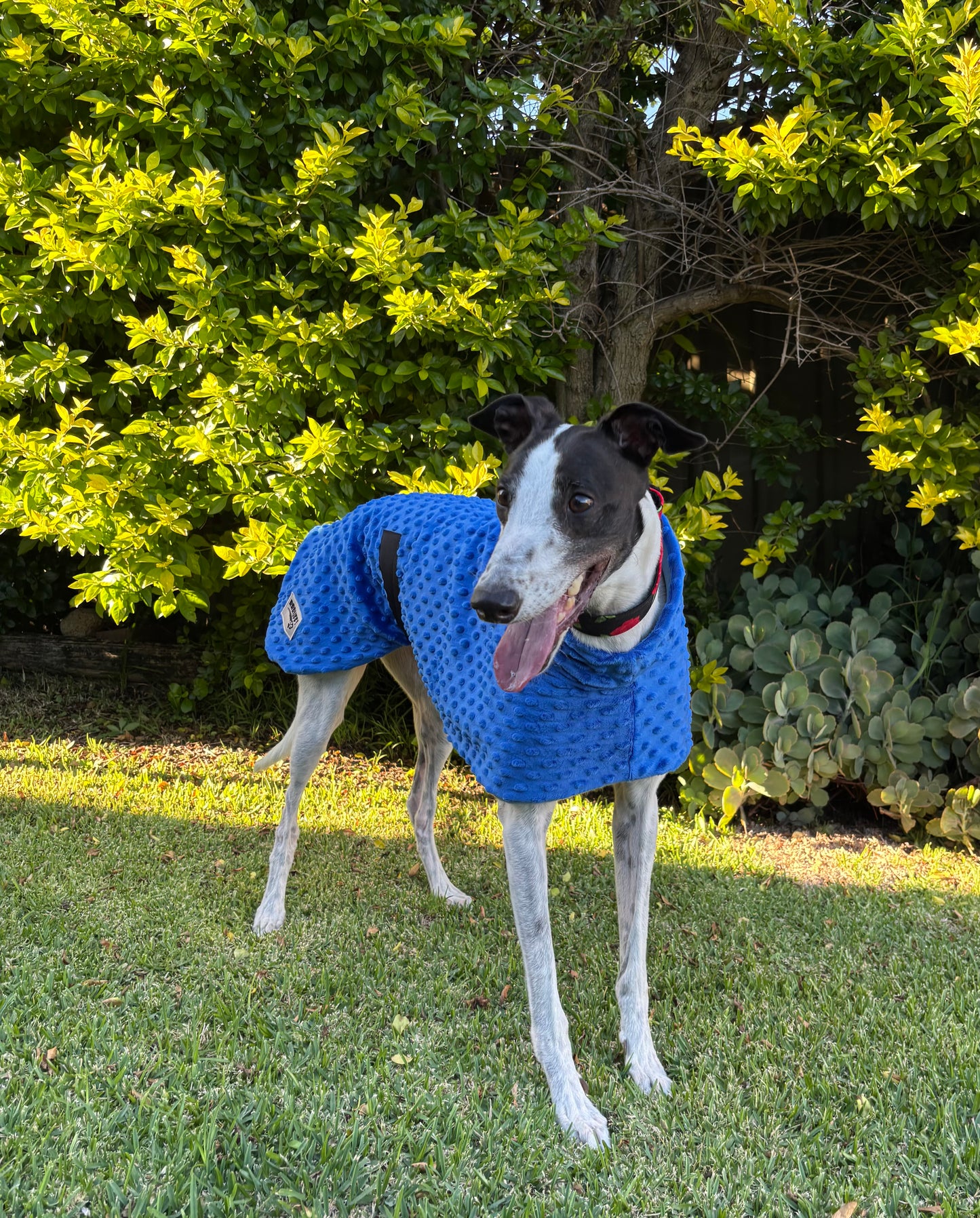 Velvet touch emerald blue minky fleece sports