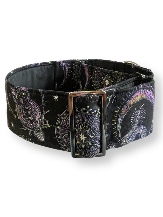 Spellbound enchanting magical sorcery greyhound design Martingale collar cotton covered 50mm width super soft Halloween worthy