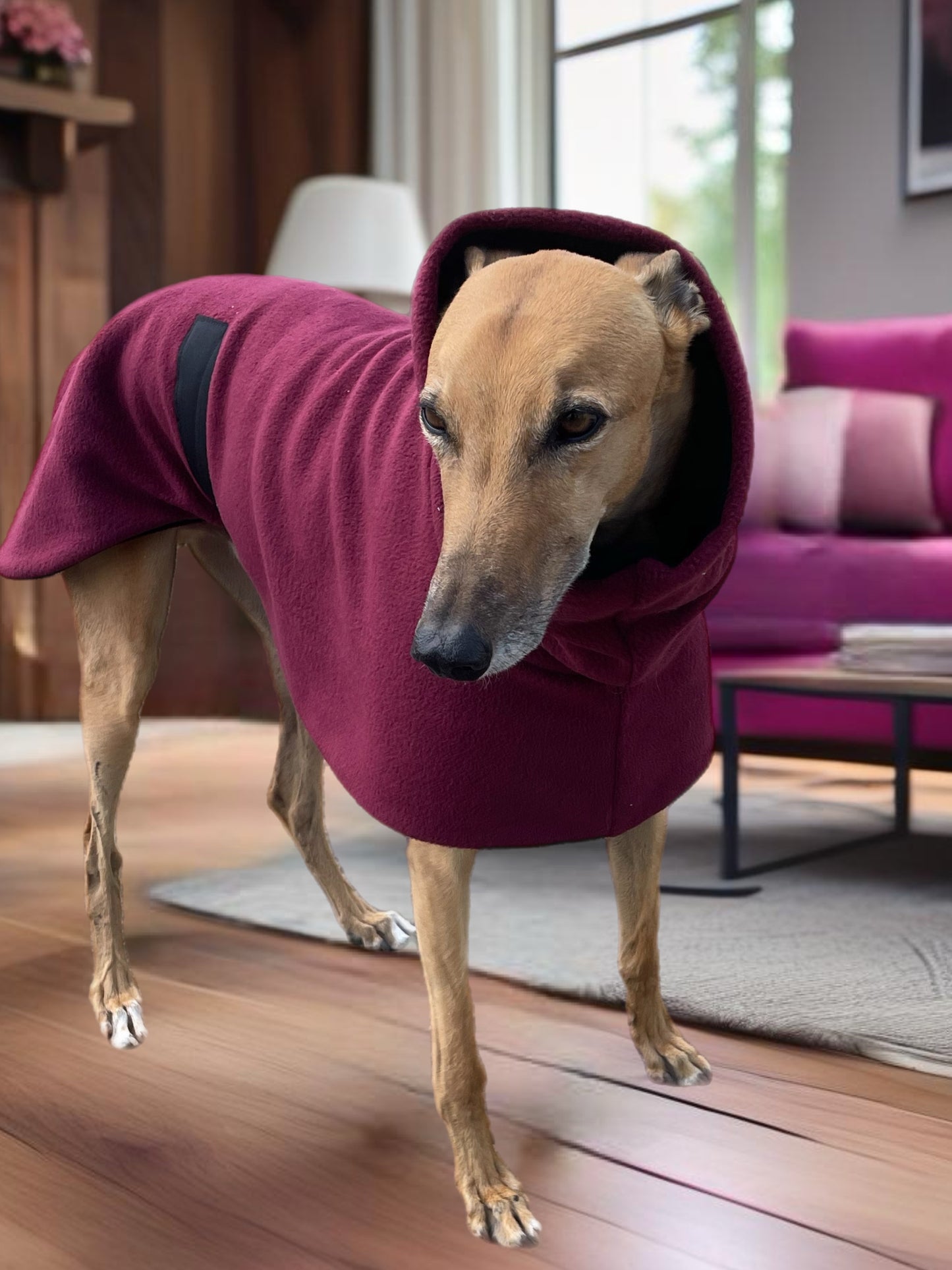 Burgundy Greyhound Deluxe Dog coat dog rug, thick double polar fleece black washable extra wide hoodie
