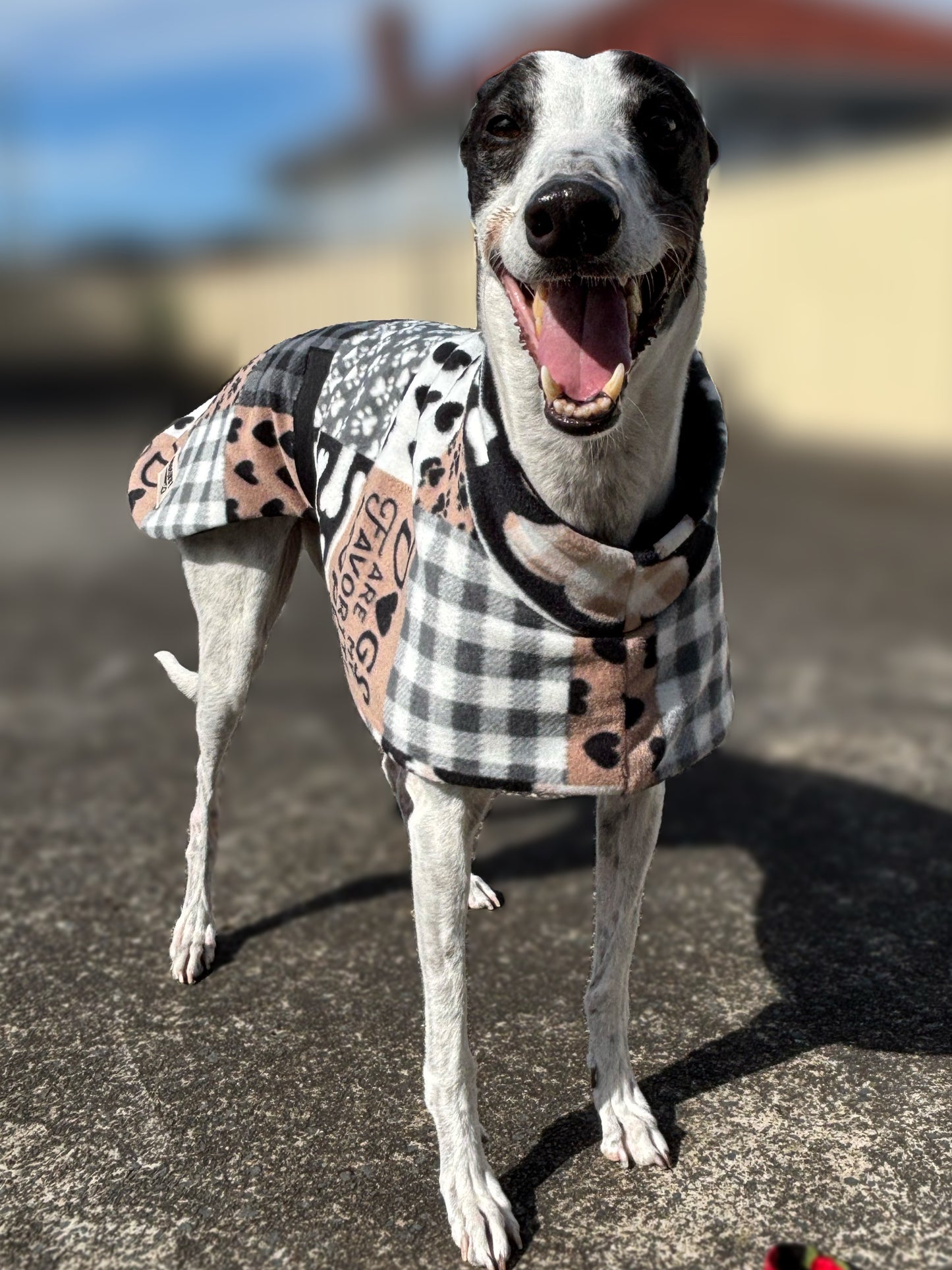 Dogs are my favorite people Soft fleecy greyhound sports coat