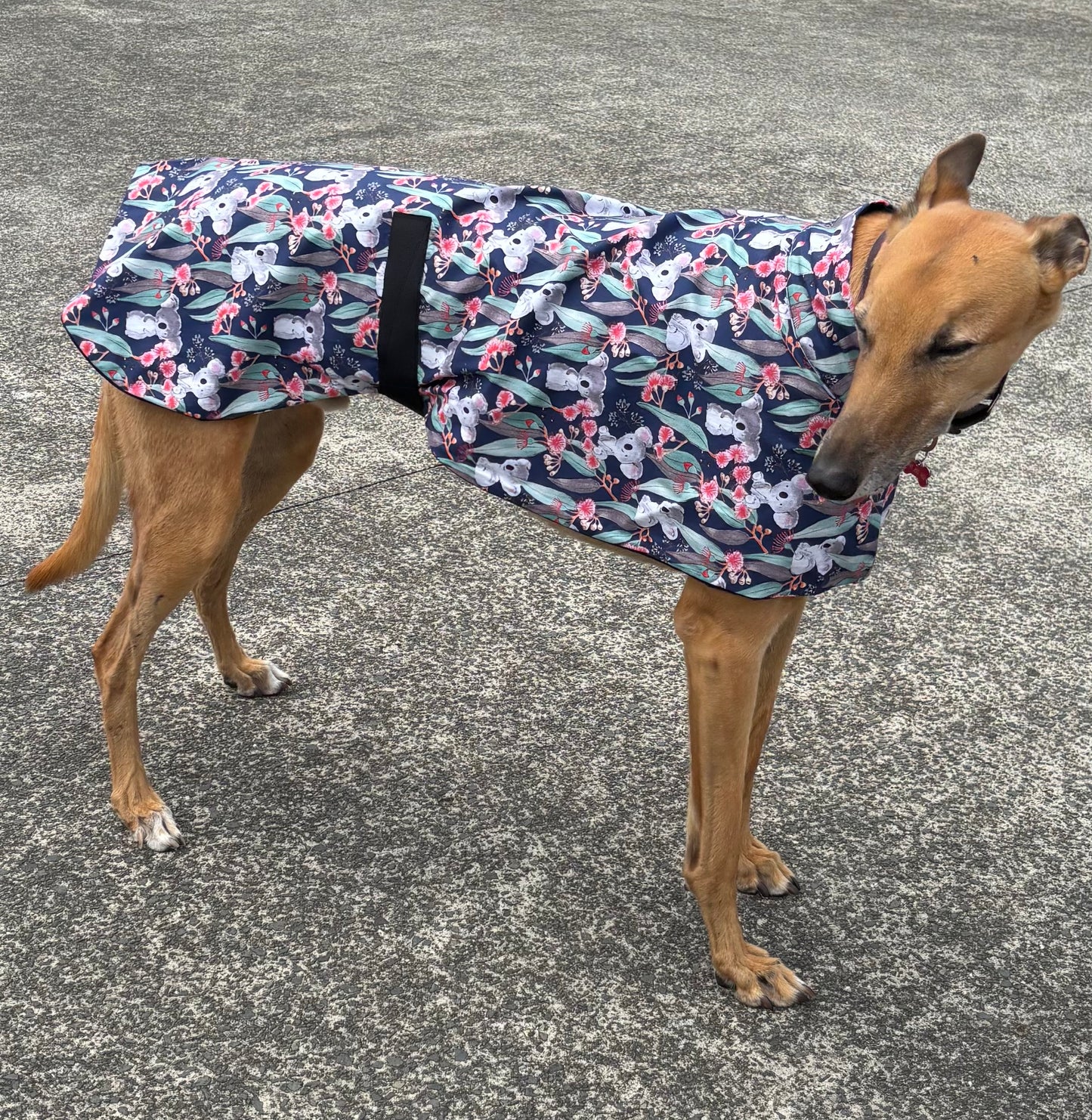 Summer featherweight greyhound slip-on coat Koala Bloom